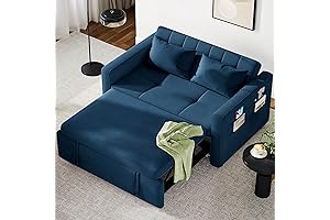 Scratch Resistant Convertible Sofa Bed