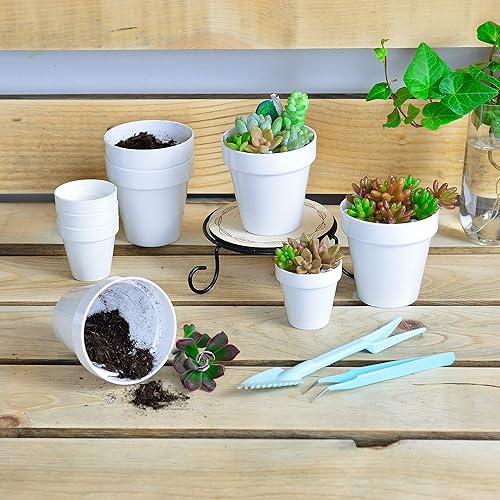 Miniatura 4 de Youngever Paquete de 24 mini macetas de plástico de 2 pulgadas, macetas de interior, maceta de jardinería blanca con drenaje, no incluye planta