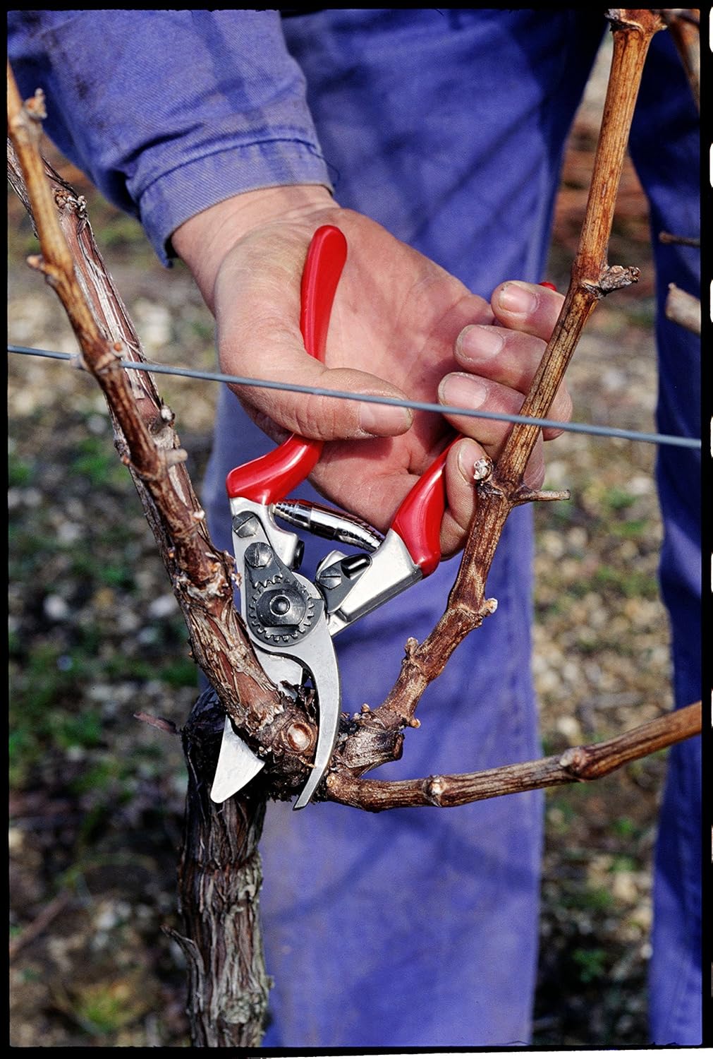 FELCO Premium 2-Pack F-8 Classic Pruner with Comfortable Ergonomic Design