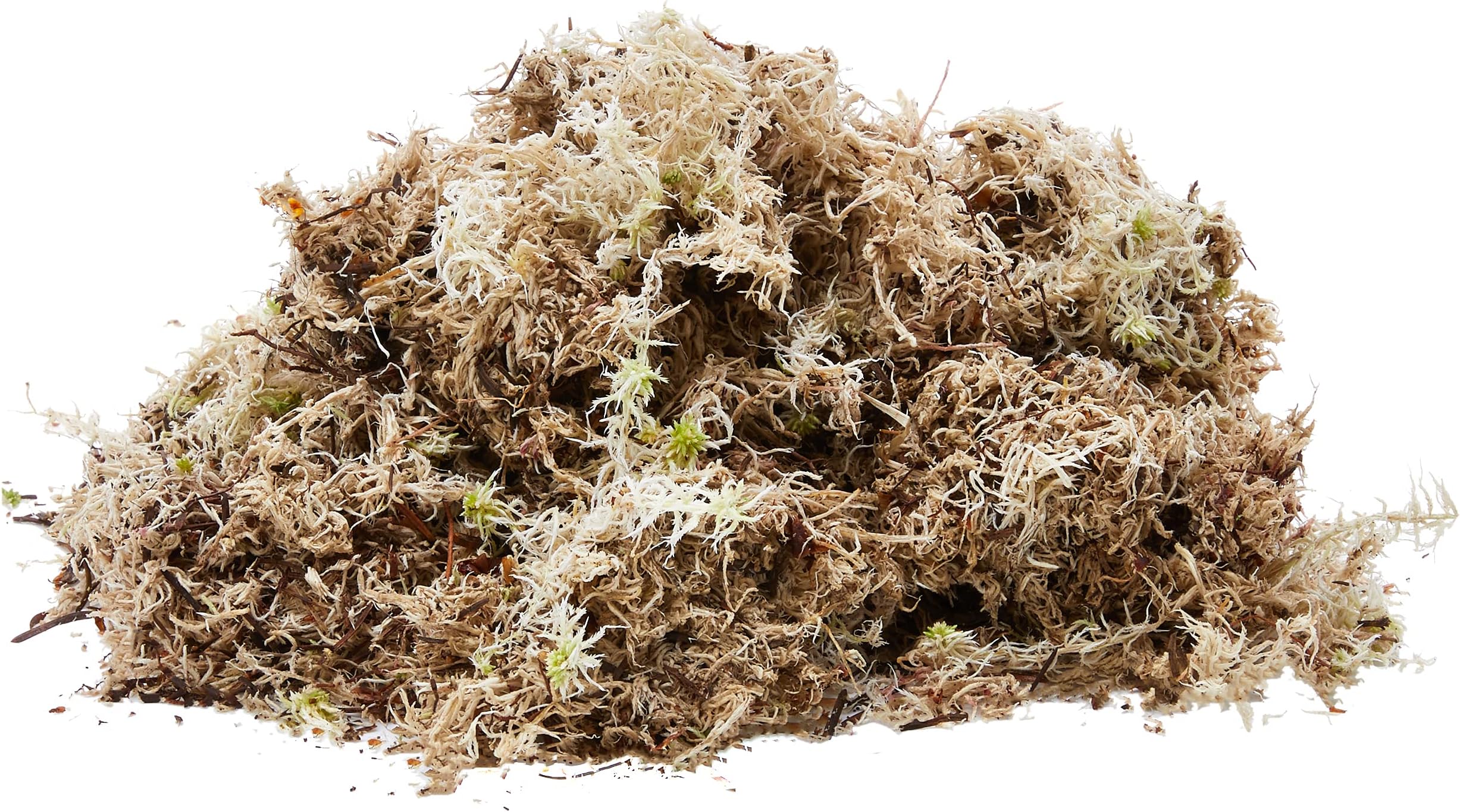 Komodo Habitat Moss, 1.5 Litre