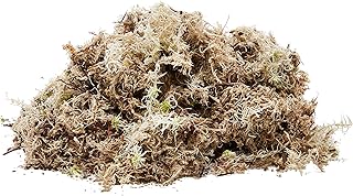 Habitat Moss, 1.5 Litre