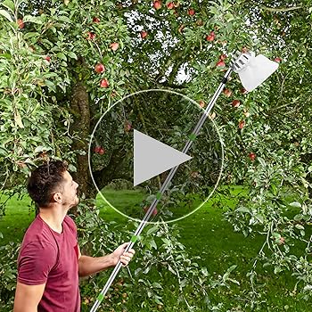 4,2m Teleskop Obstpflücker Mit Edelstahlstange & Baumwollbeutel