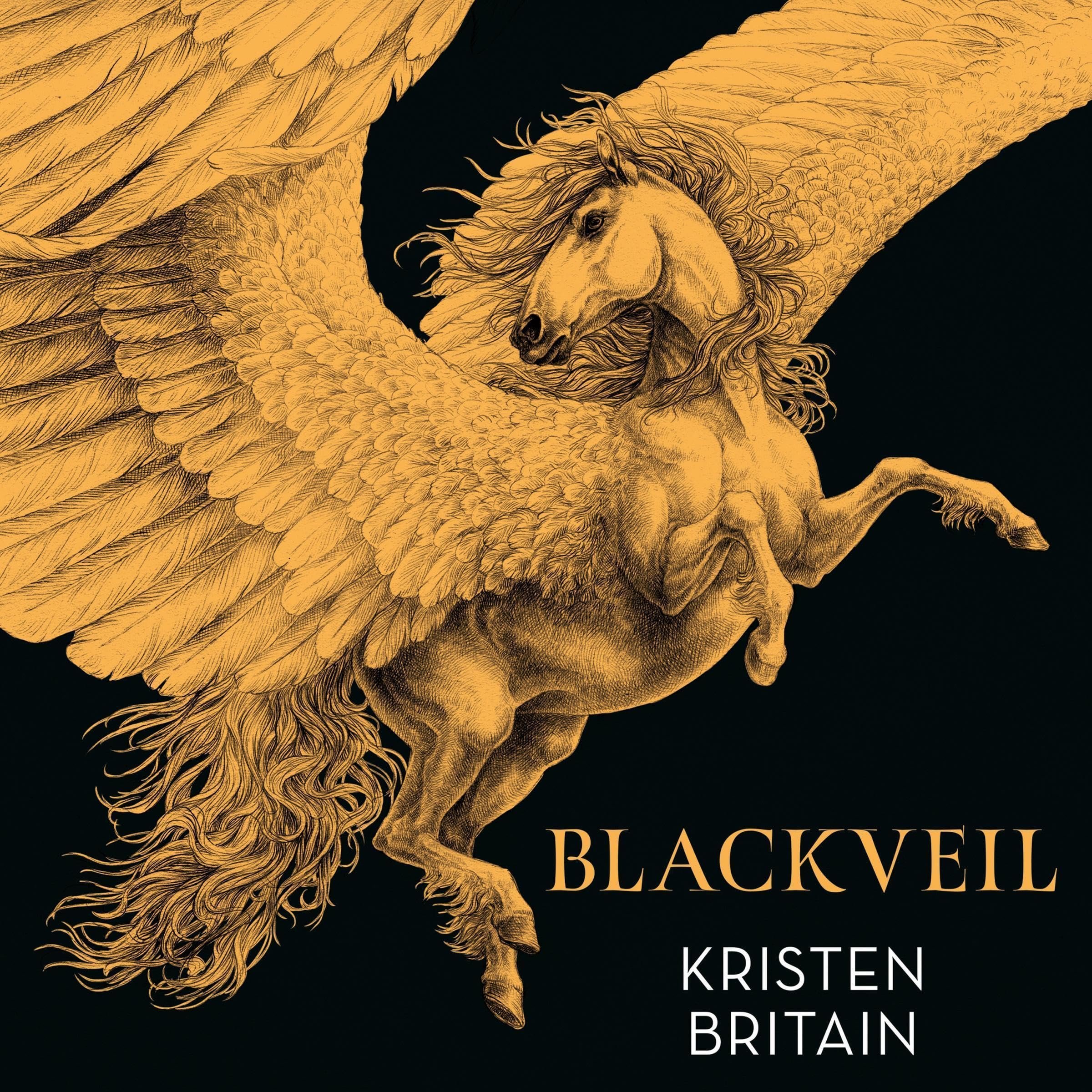 Cover art for Blackveil