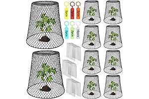 10 Heavy Duty Plant Covers for Strawberry Plants