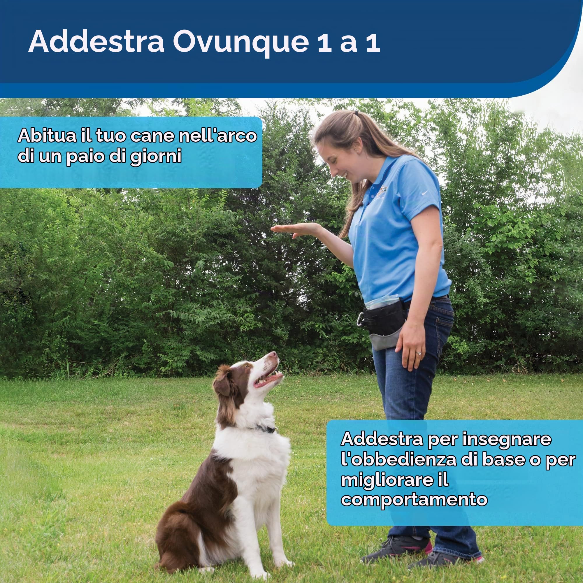 PetSafe Dispositivo di Addestramento a Ultrasuoni