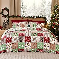 Vista 14 de Bedsure Patchwork Quilts Queen Size - Reversible Blue Floral Comforter Queen Size, Spring Lightweight Bedspread Boho Quilted Bedding, Soft 01