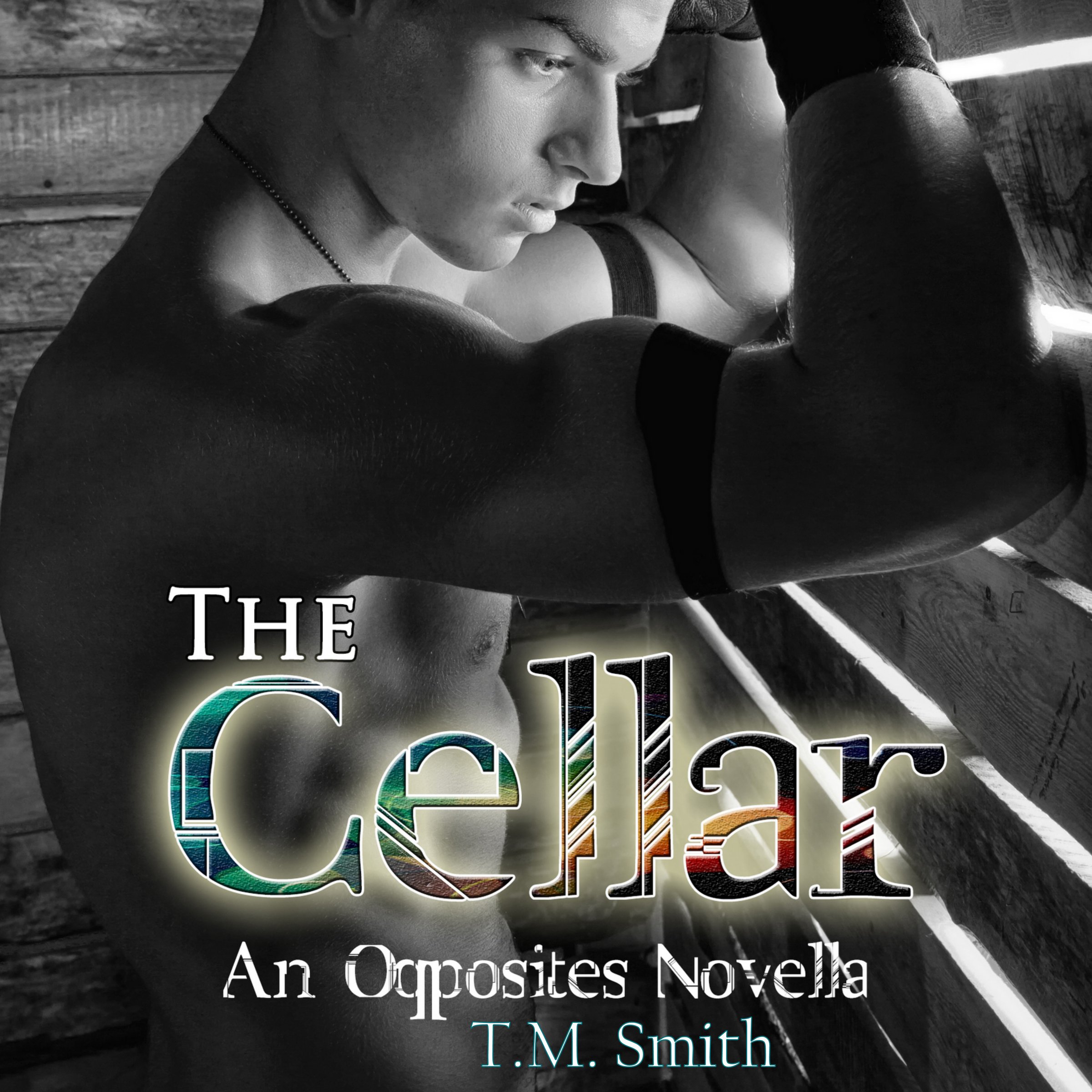 Cover art for The Cellar