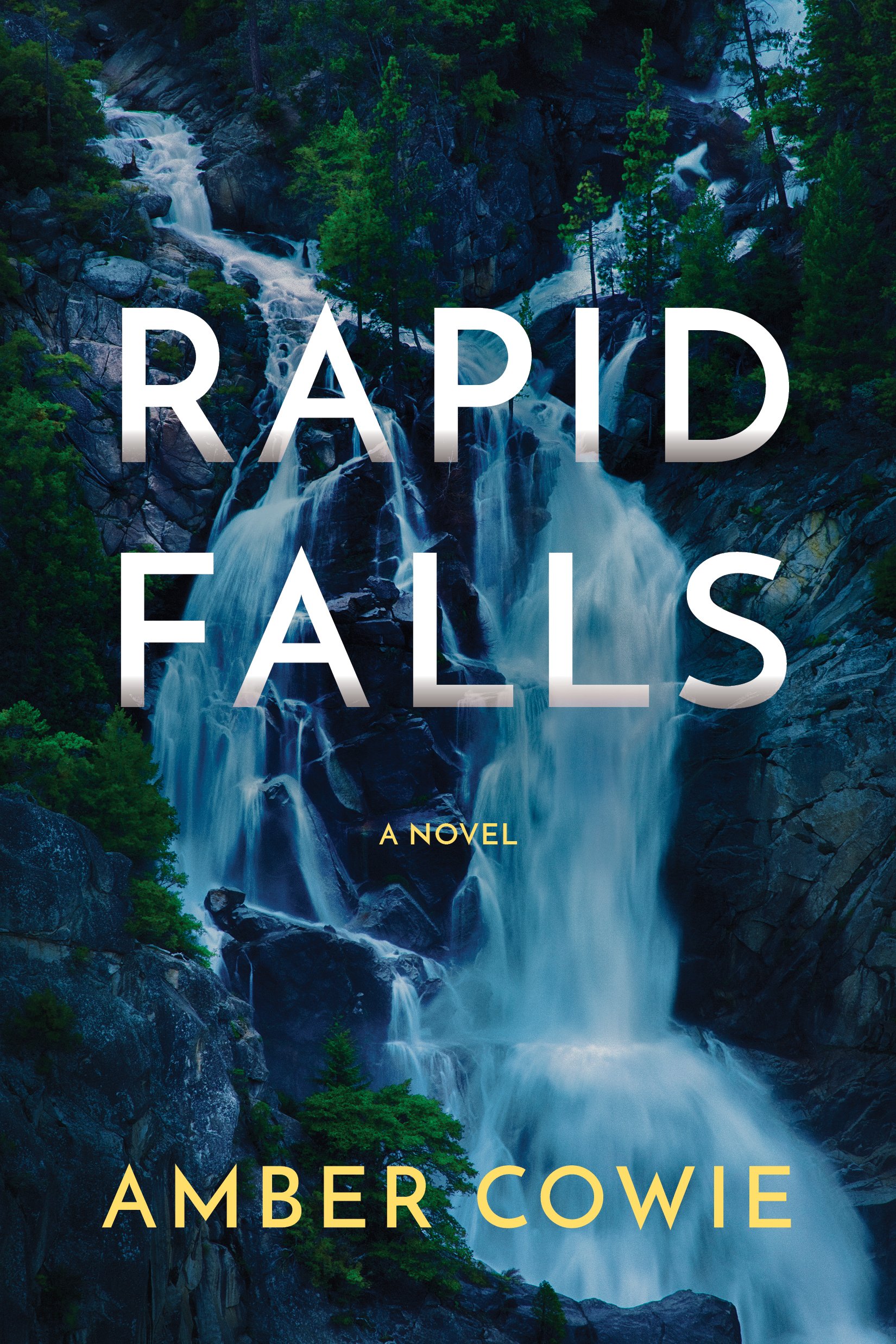 Buy Rapid Falls — BookShops.in
