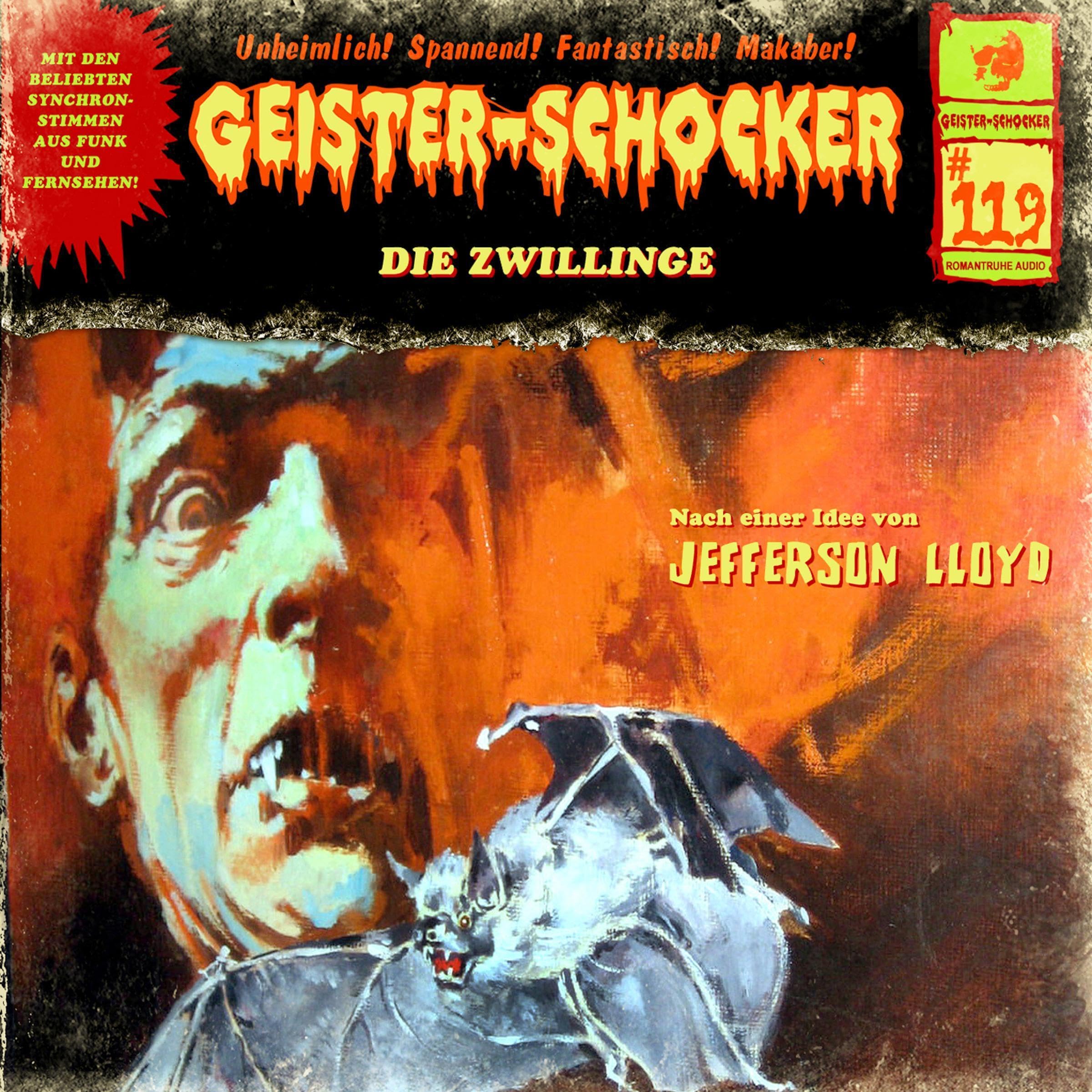 Cover art for Die Zwillinge