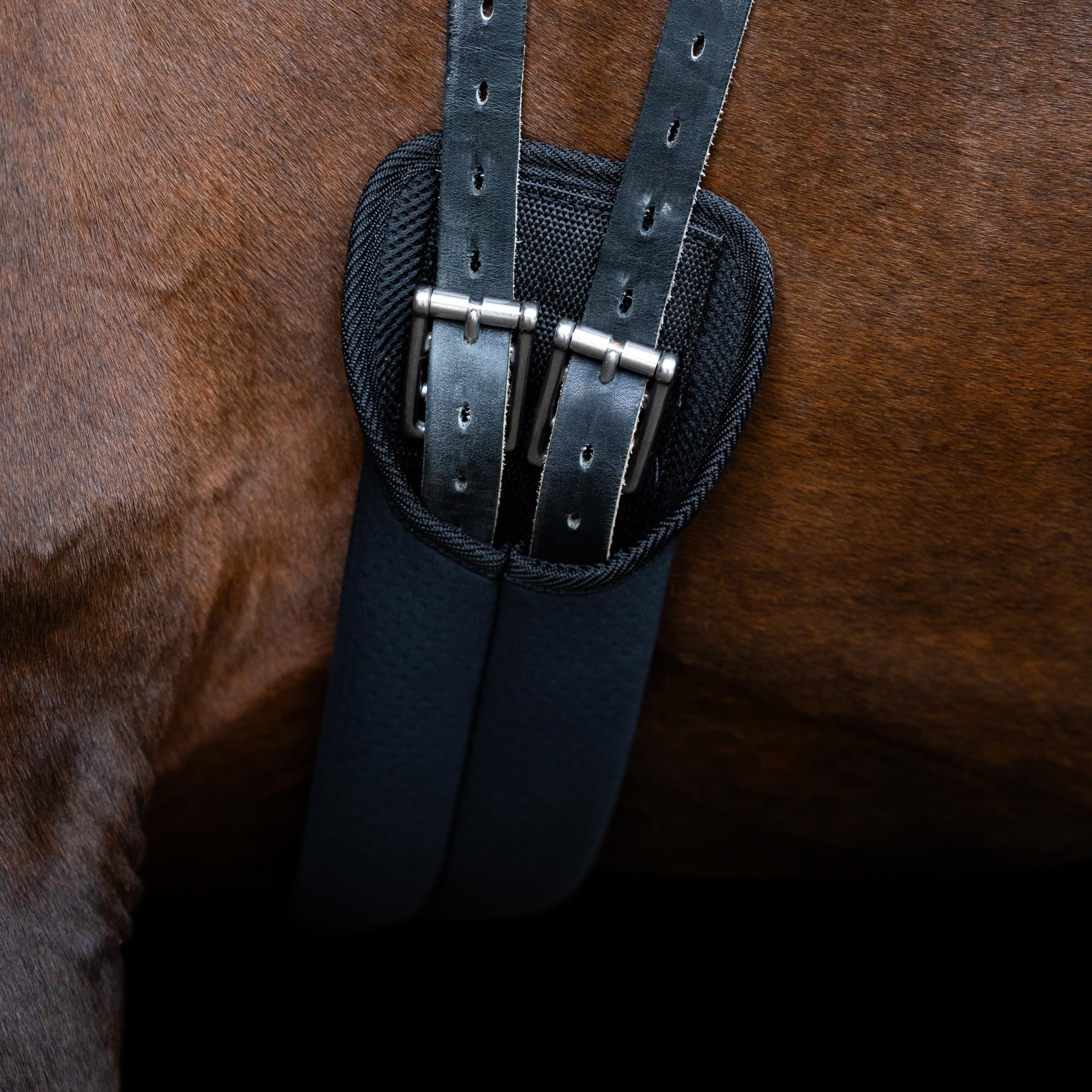 Imperial Riding Dressurgurt IRH Neopren, Sattelgurt mit Federverschlüssen und Einhandverstellung, Schwarz, 65cm