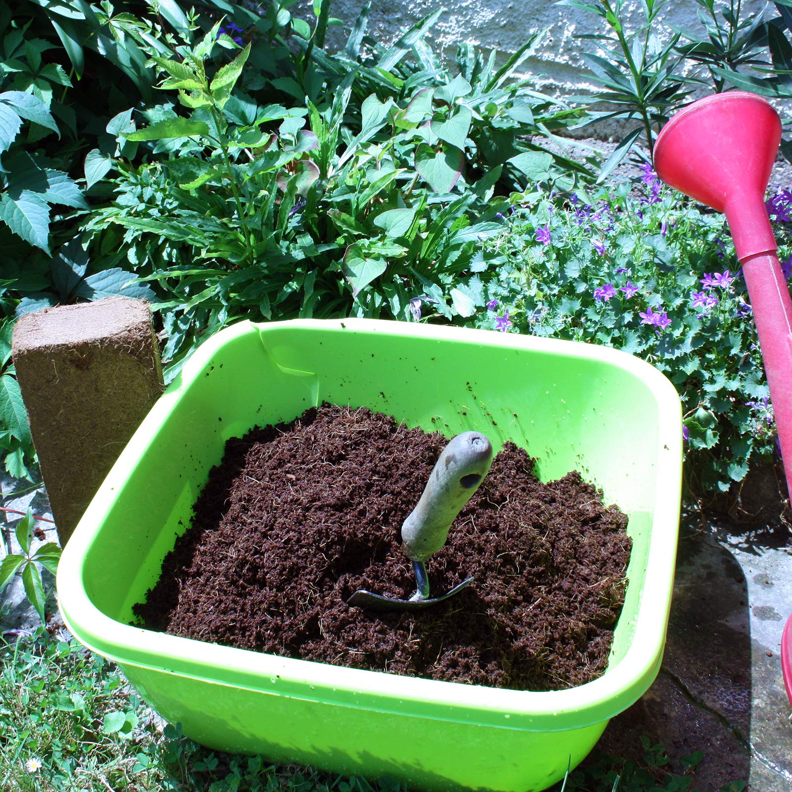 Fibra Di Cocco 120L - Substrato Naturale Per Piante, 12 Blocchi Da 10L, Per Orto E Terrario - Foto 12