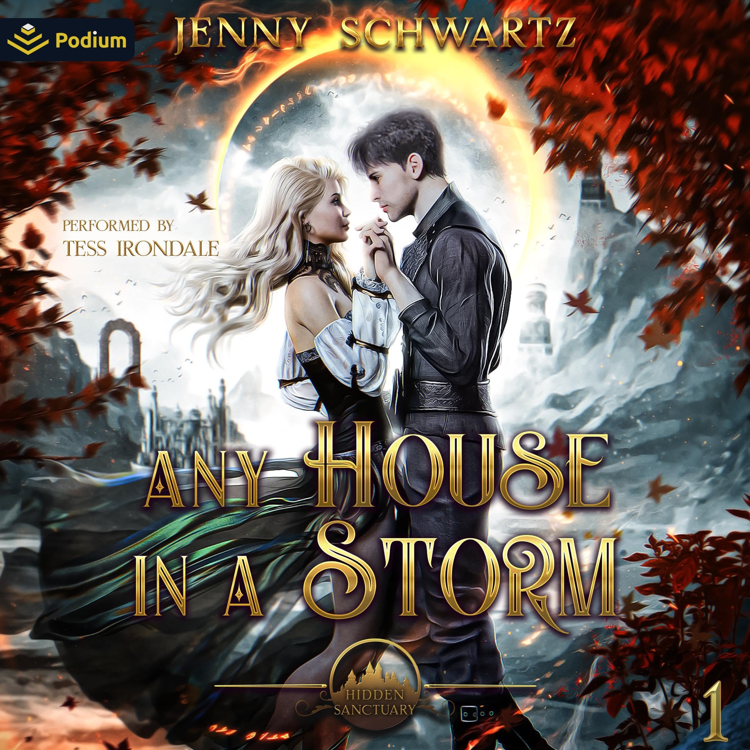 Cover art for Any House in a Storm