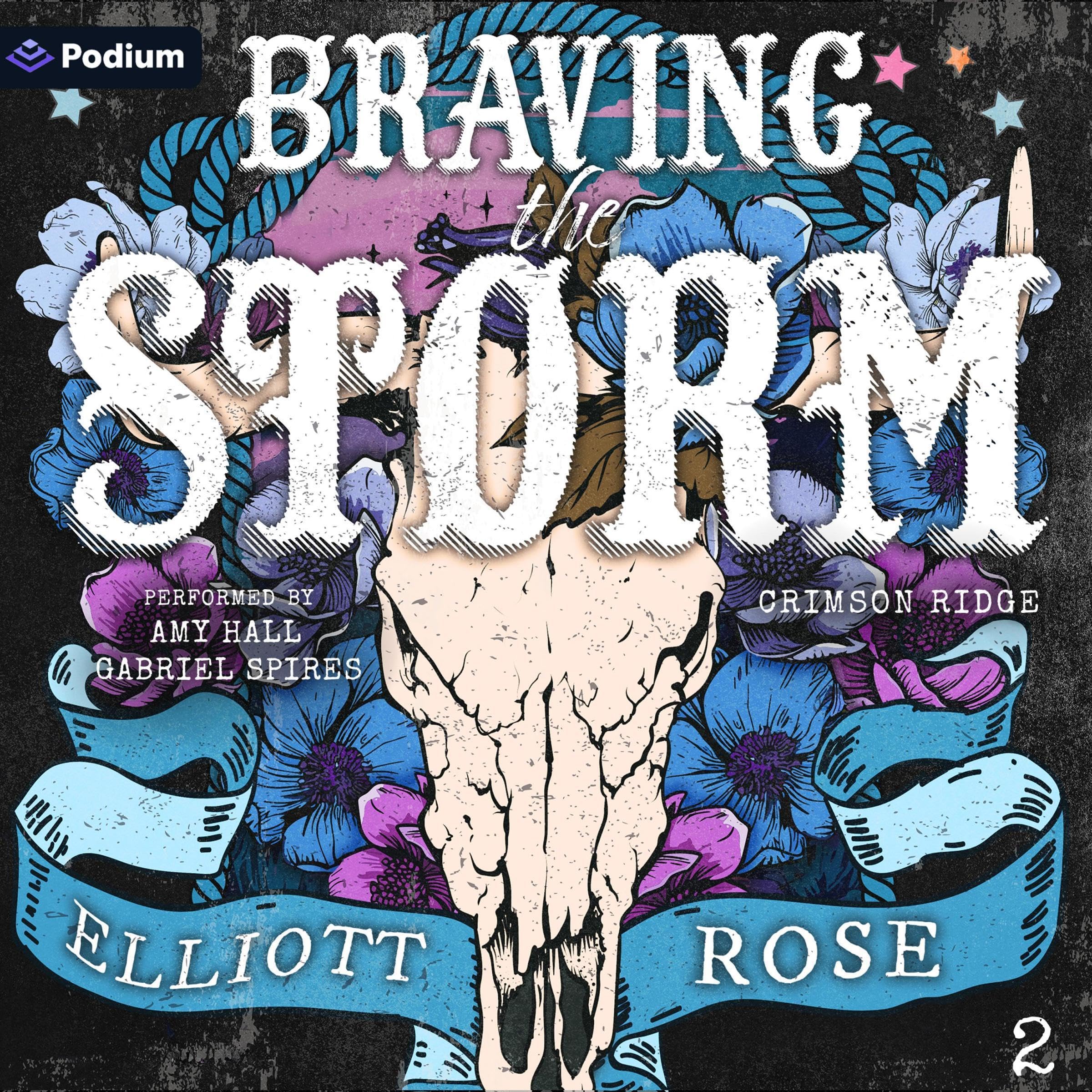 Cover art for Braving the Storm