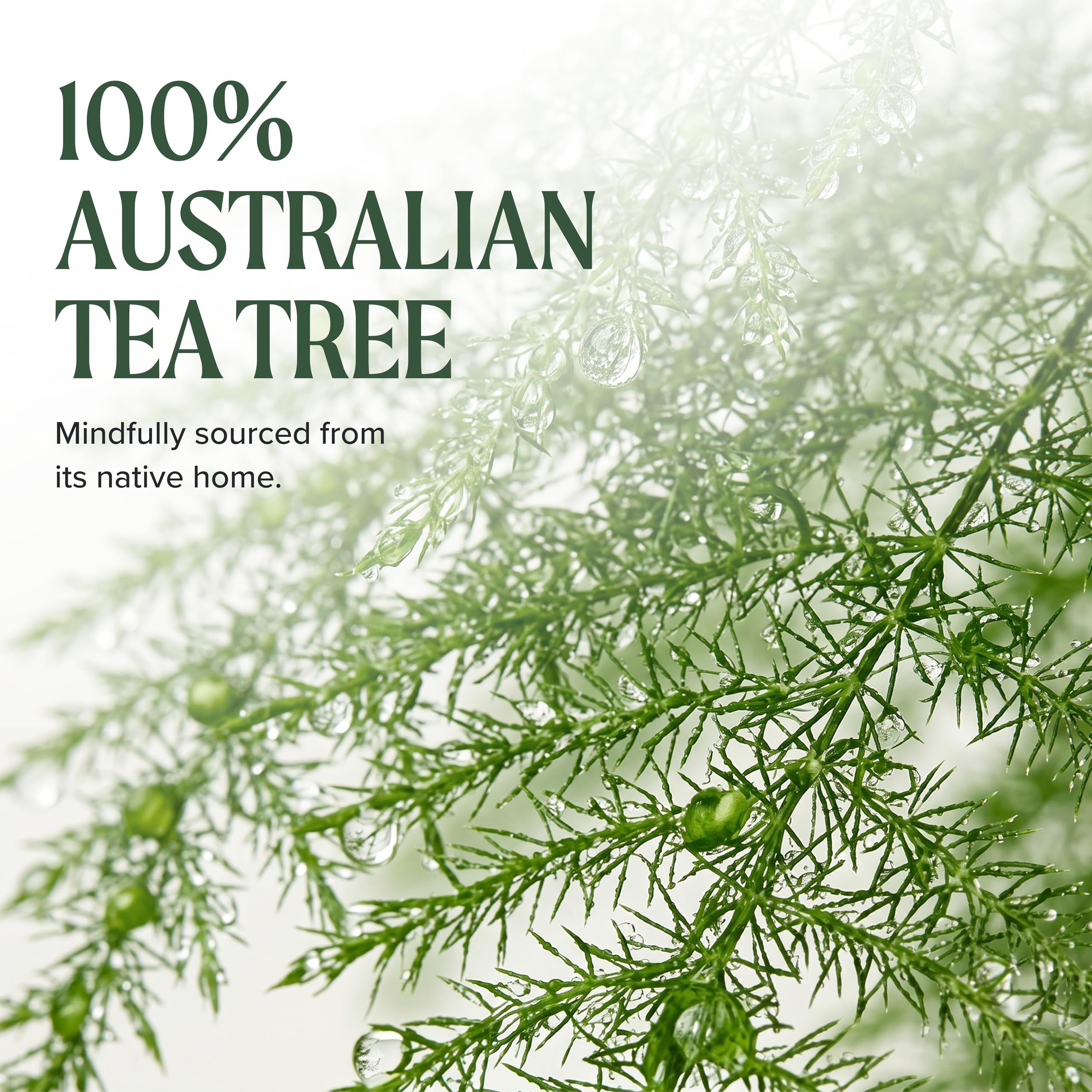 Paul Mitchell Après-shampoing hydratant Tea Tree Lavande Menthe 1000 ml
