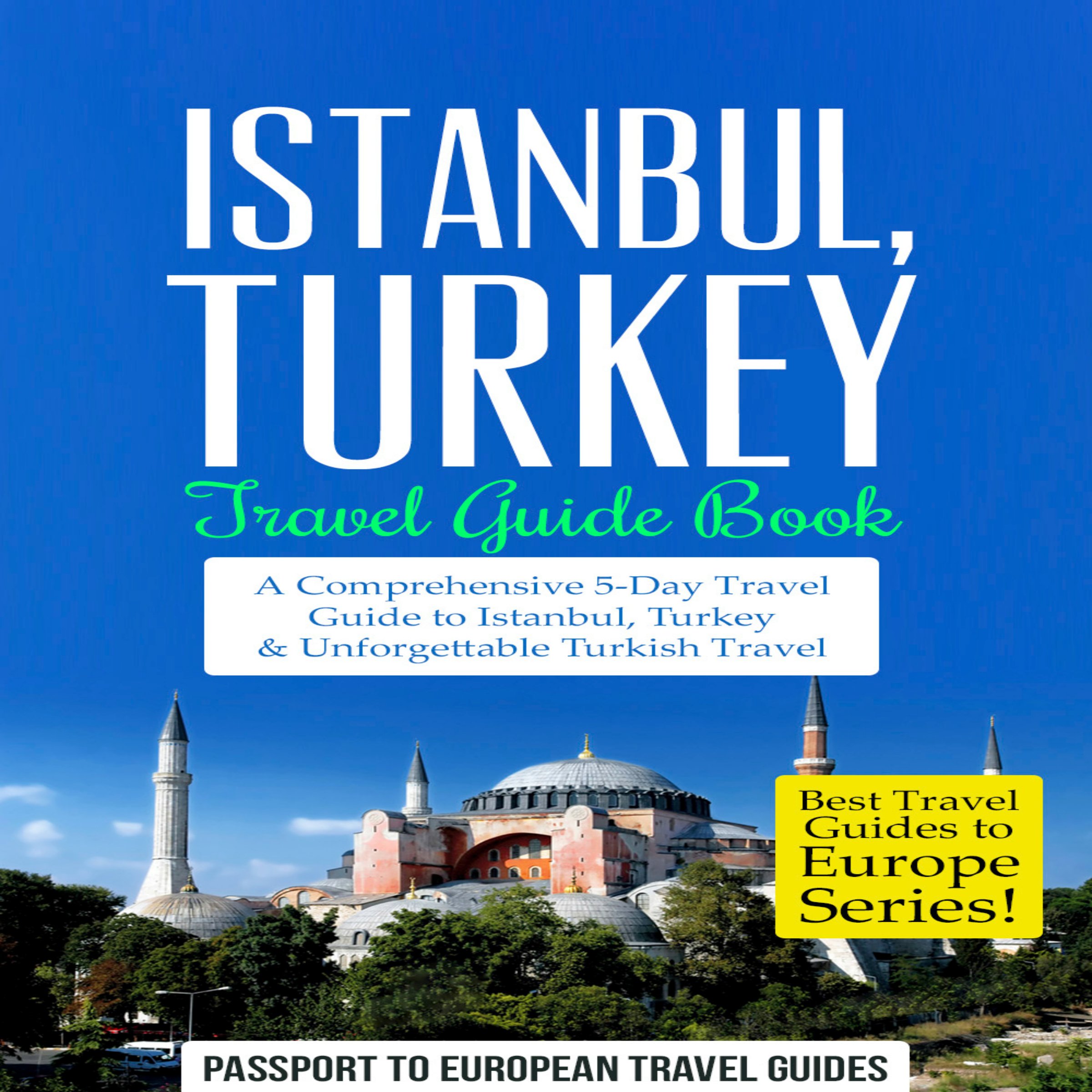 Cover art for Istanbul: Istanbul, Turkey: Travel Guide Book