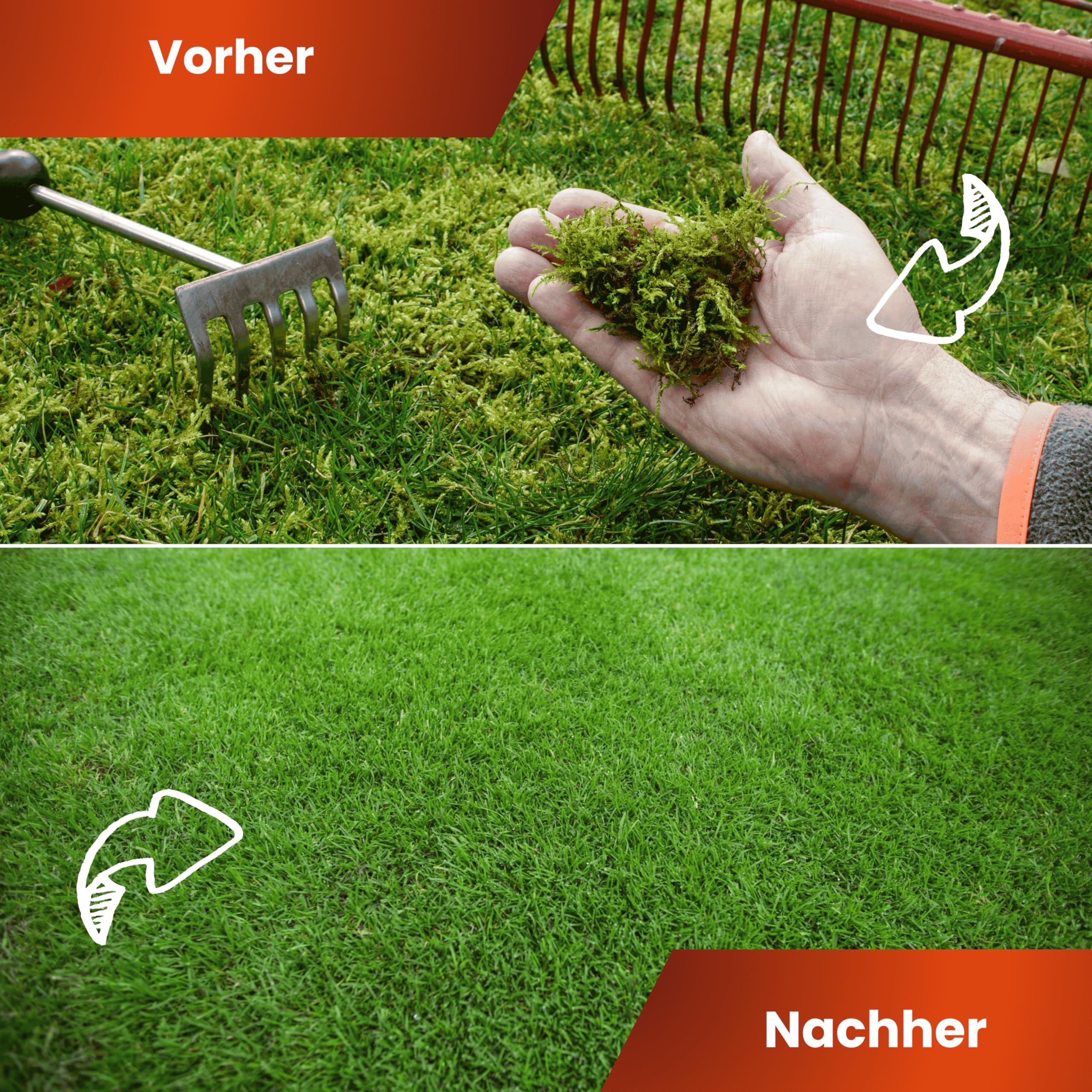 Greenyp Anti Moos Rasendünger I 2in1 Rasen- & Eisendünger 30kg für 600m² | Für Rasenflächen mit Moos | Rasendünger + Eisensulfat granuliert, streuwagengeeignet und staubarm für Frühjahr bis Spätsommer