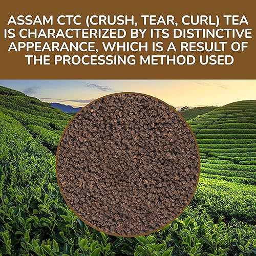 Miniatura 116 de BREWIX, Discover India Caja de regalo de Navidad de té negro prémium (6.34 oz/más de 90 tazas) Juegos de regalo de té para amantes del té 6 tés