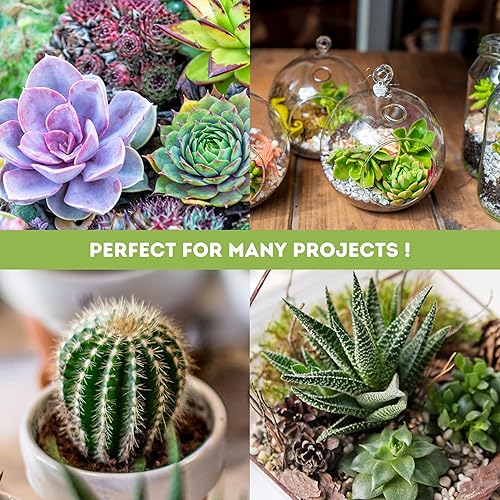 Miniatura 6 de Luz LED de cultivo de plantas de terrario suculenta de 4 pies, luz diurna de espectro completo enlazable con iluminación de interior LightTech