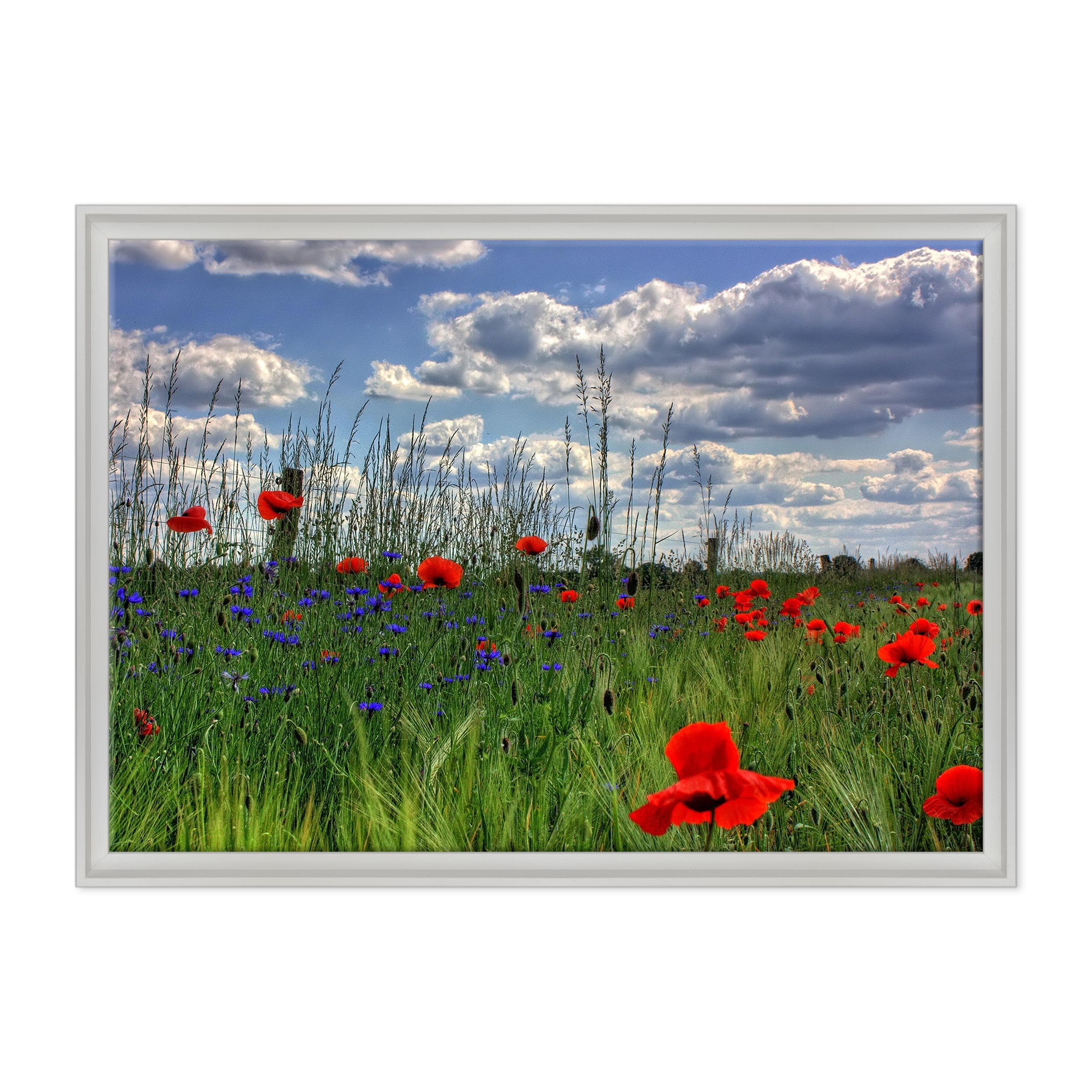 Bild auf Leinwand, gerahmt, mit Rahmen, rote Mohnblumen – Blumen Natur – Panorama Landschaft – 70 x 100 cm – zeitgenössischer Stil Weiß – (Code 4557)