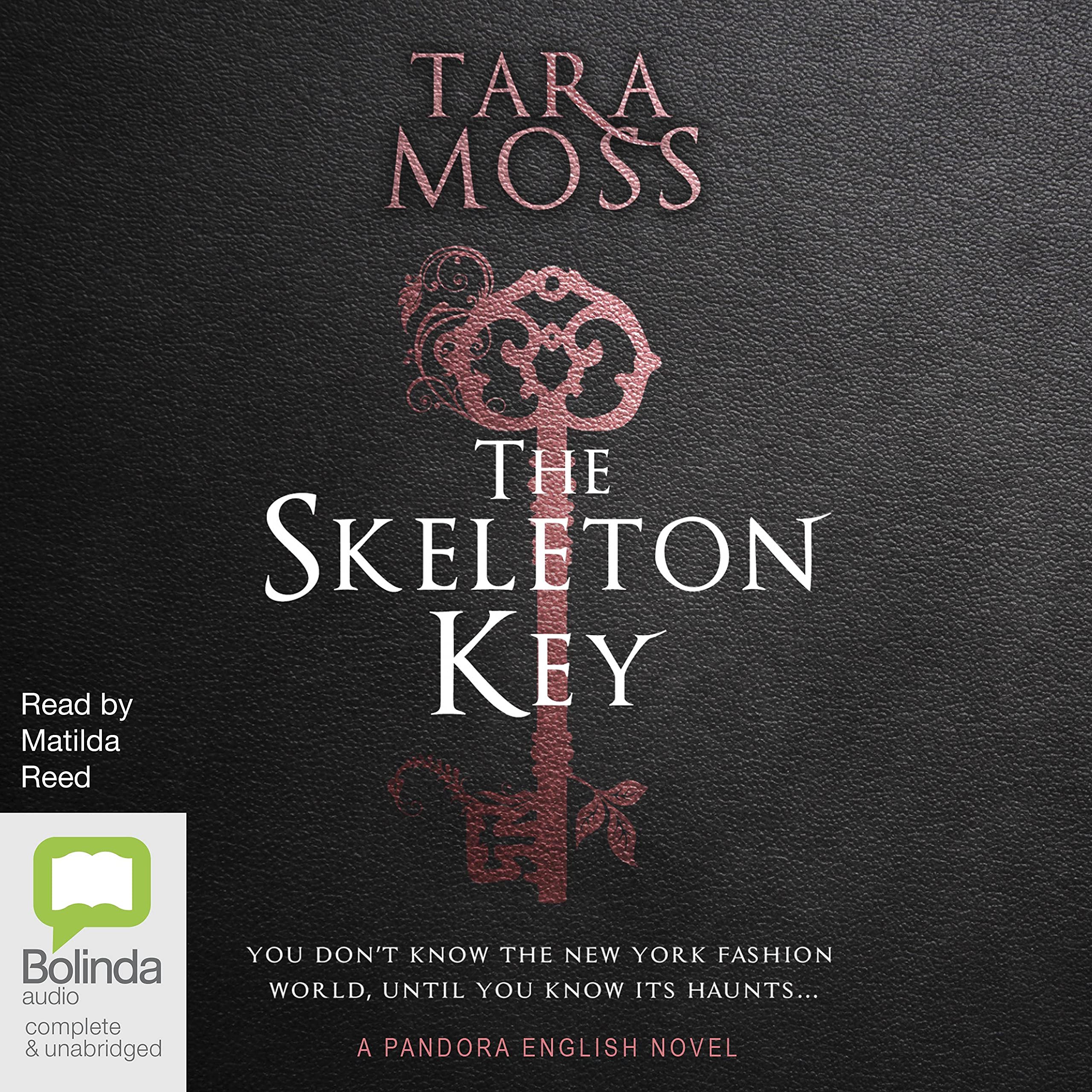 Cover art for The Skeleton Key