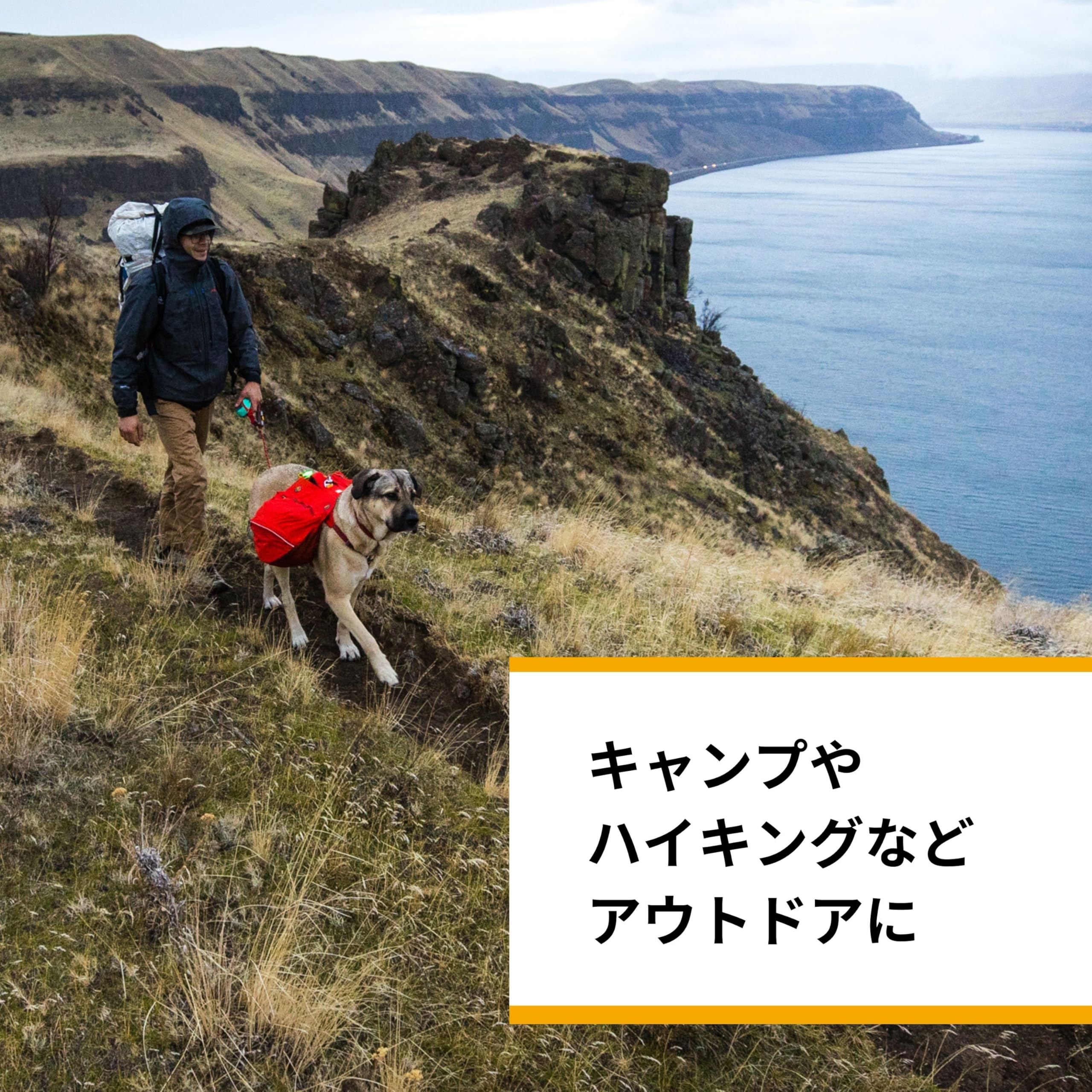 Amazon | RUFFWEAR(ラフウェア) パリセーズパック レッド