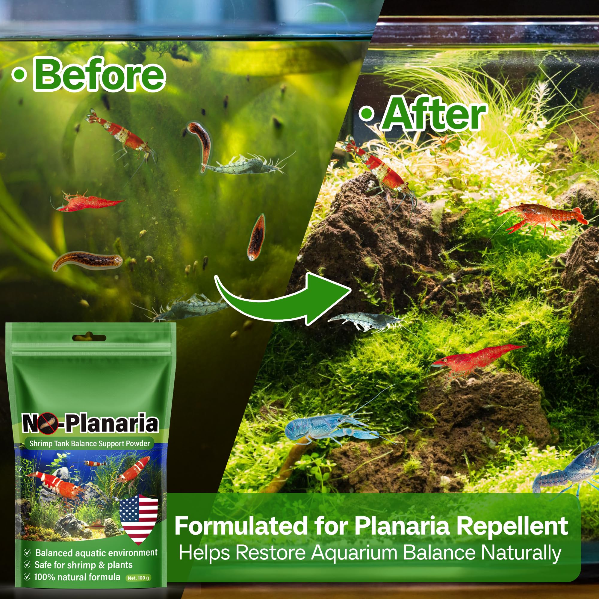 No Planaria & Hydra Trap, poudre d'équilibre pour aquarium, soutien 100 % naturel pour les problèmes causés par les intrus à corps plat, favorise une croissance saine et la reproduction des crevettes