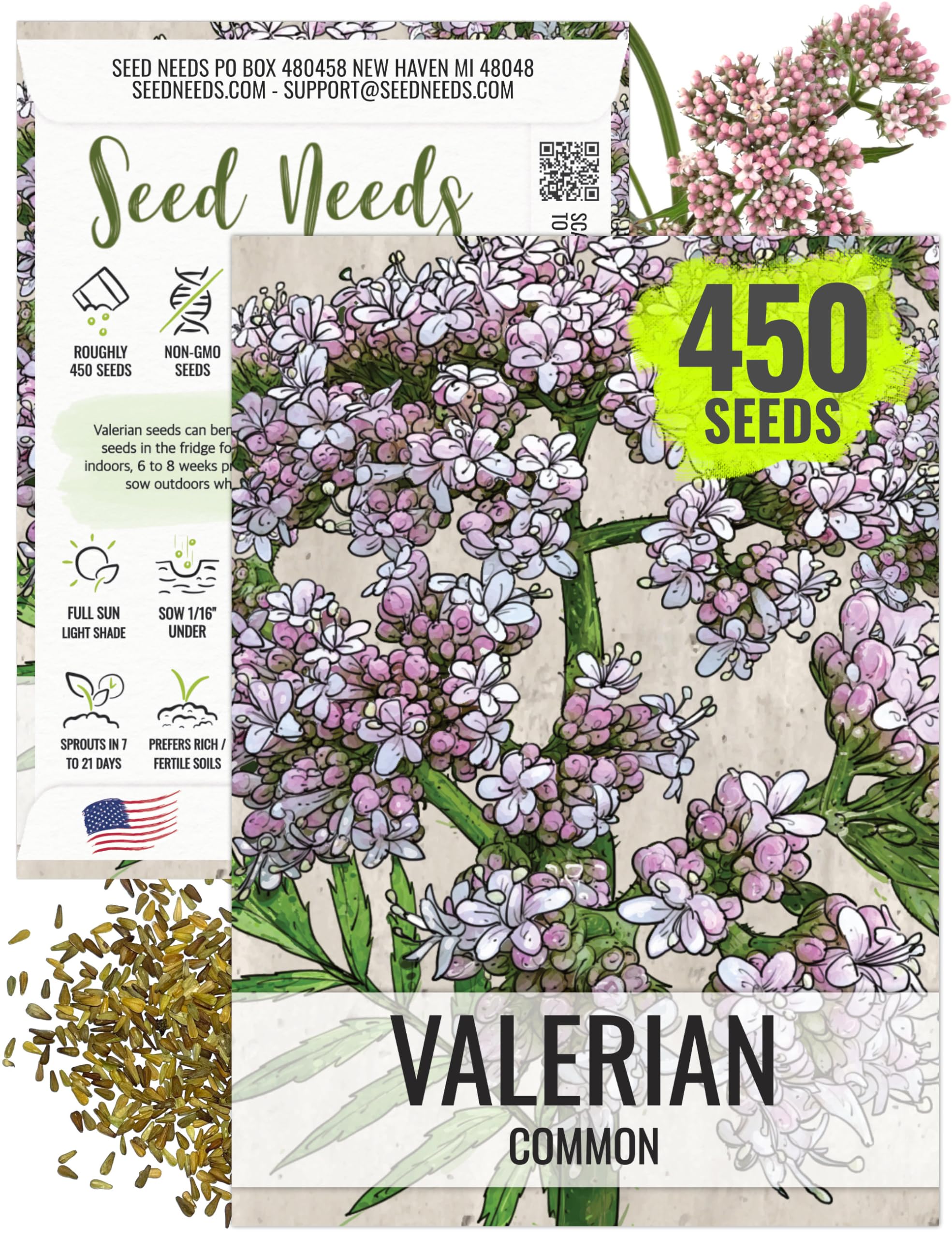 Seed Needs Valerian Seeds for Planting Stink Root Plants - Non-GMO Heirloom & Untreated Perennial Medicinal Herb Seed to Plant a Home Grown Outdoor Garden (1 Pack)