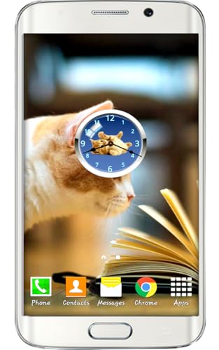 Adoráveis Gatos Tema