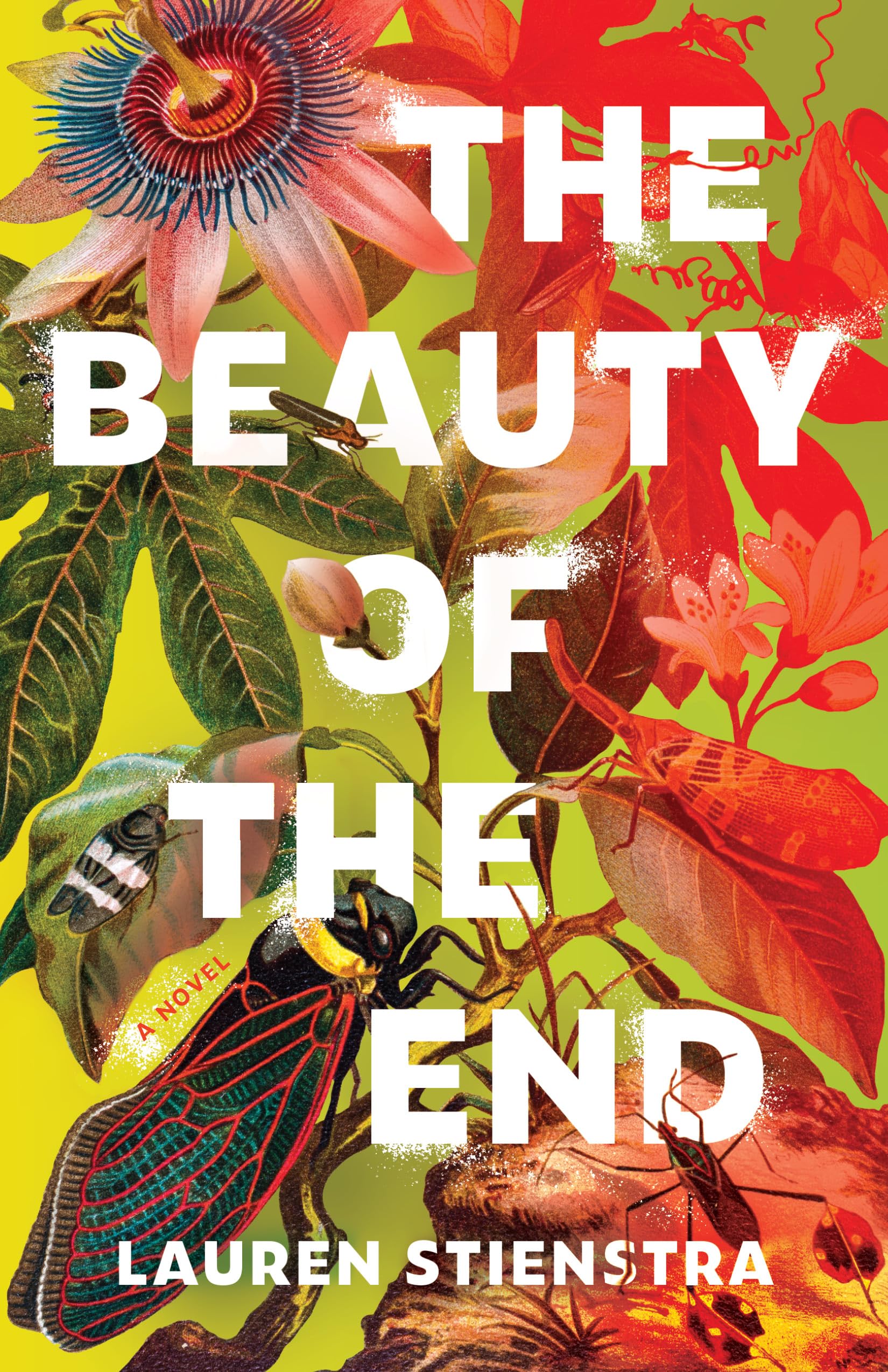 The Beauty of the End: A Novel