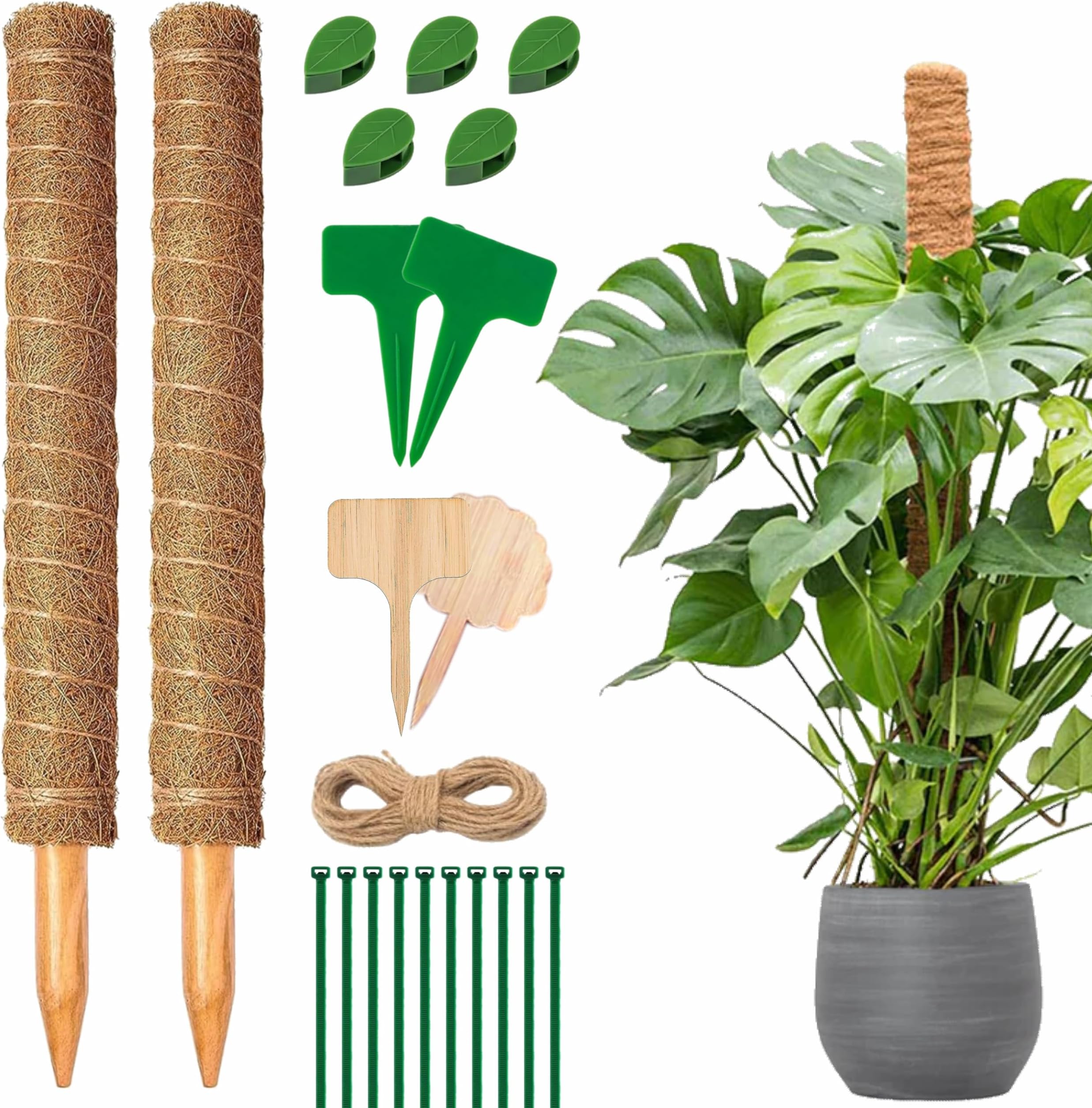 Moss Pole Monstera Plant Support, Pack of 2 Plant Stakes