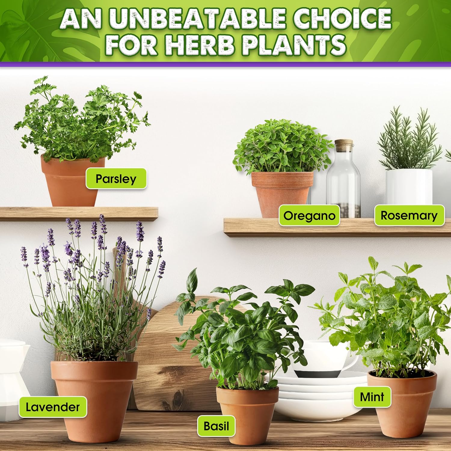 DUSPRO Recycle 8QRT Pre-Mixed House Plant Soil Aroid Potting Mix 7-in-1 with Coco Coir, Peat Moss, Perlite, Worm Casting, Pumice, Pine Bark & Gypsum, Tropical Potting Mix for Indoor Plants, Herbs