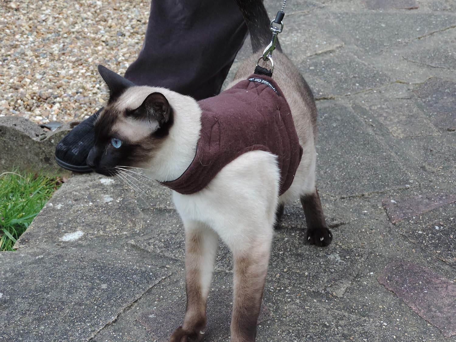 Mynwood Cat Jacket/Harness Chocolate Fleece Adult Cat
