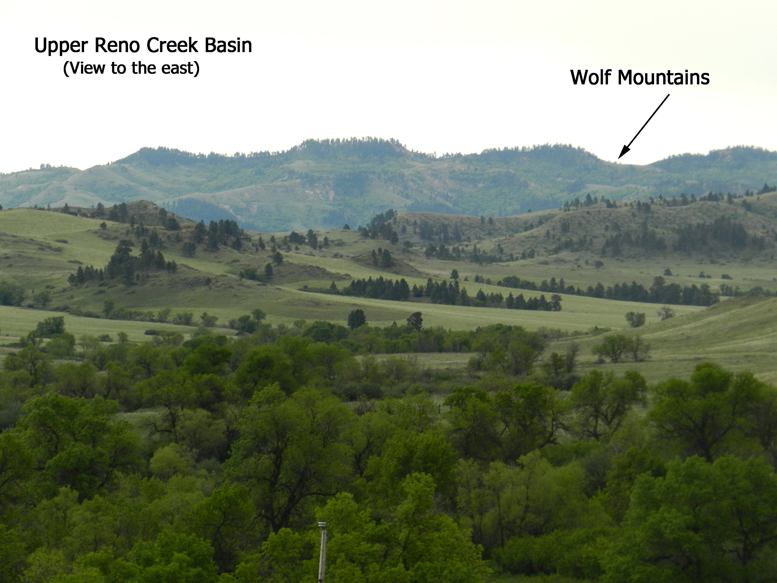 Custer Abandoned - Image 5