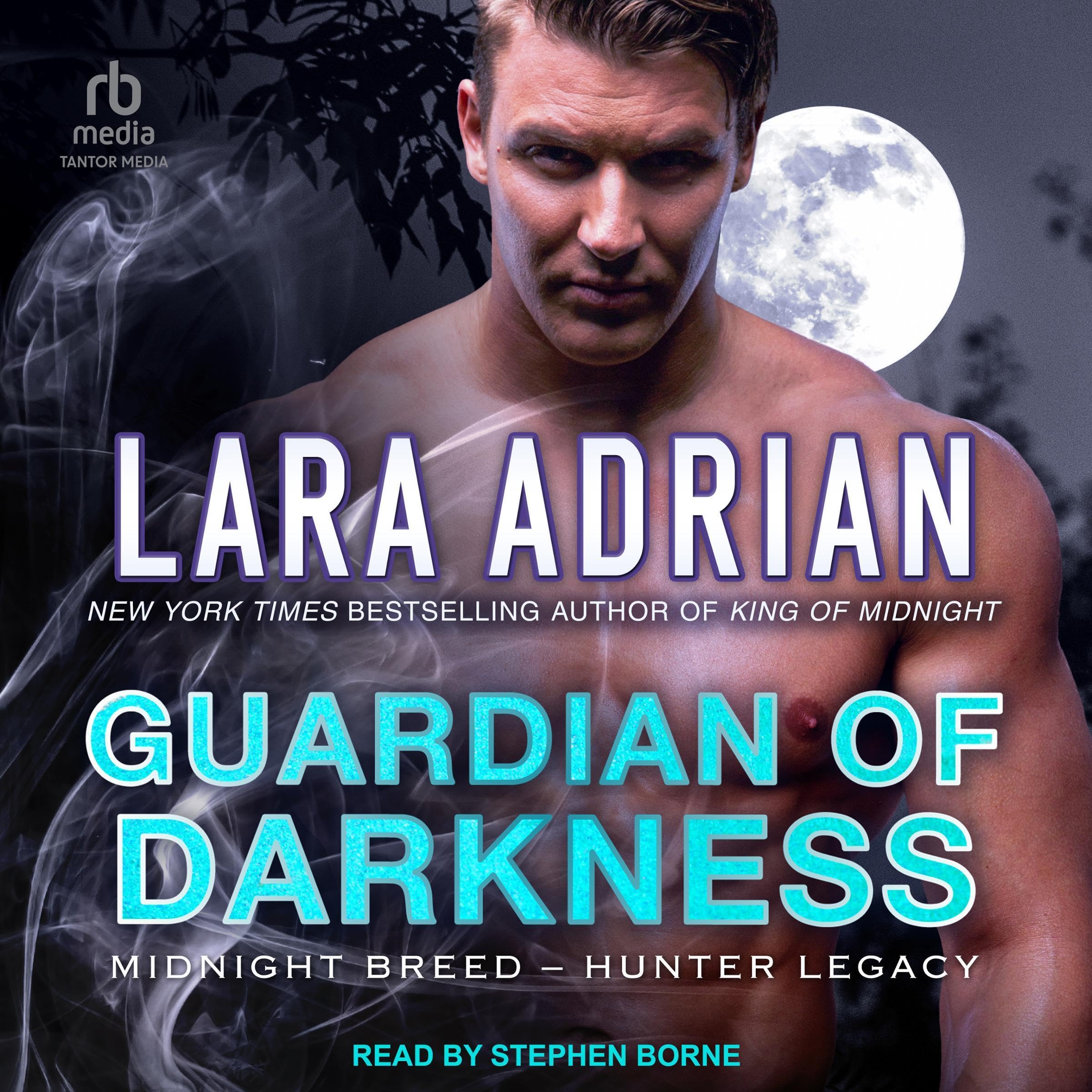 Cover art for Guardian of Darkness