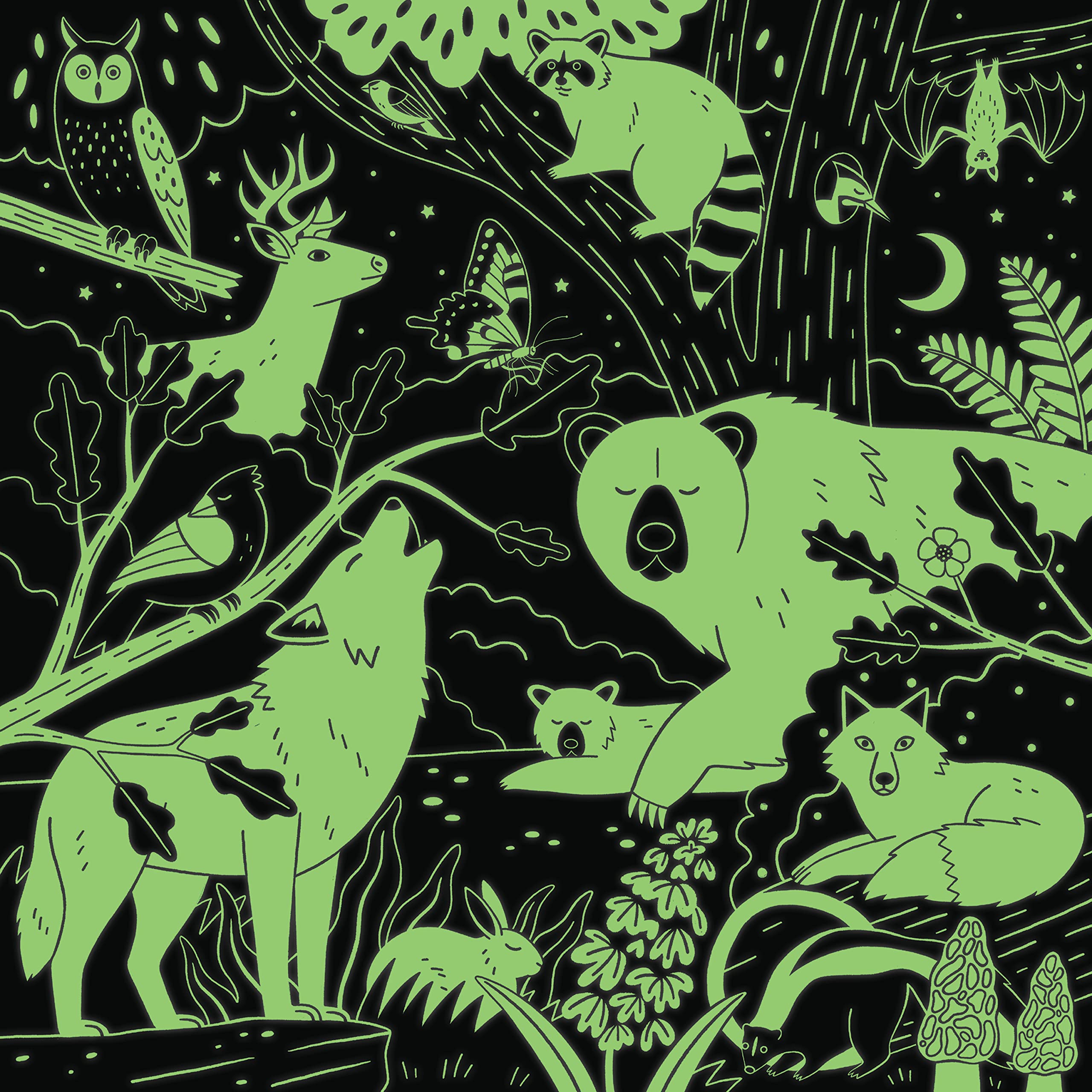 Mudpuppy Forest Illuminated 500 Piece Glow in The Dark Jigsaw Puzzle for Kids and Families, Family Puzzle with Glow in The Dark Forest Theme - Image 3