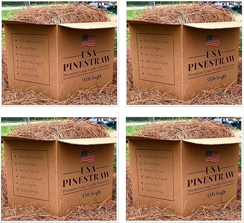 Miniatura 9 de Paja de pino de EE. UU., mantillo de aguja de pino de primera calidad (mantillo de aguja de pino, cubre 100 pies cuadrados, 2 juegos)