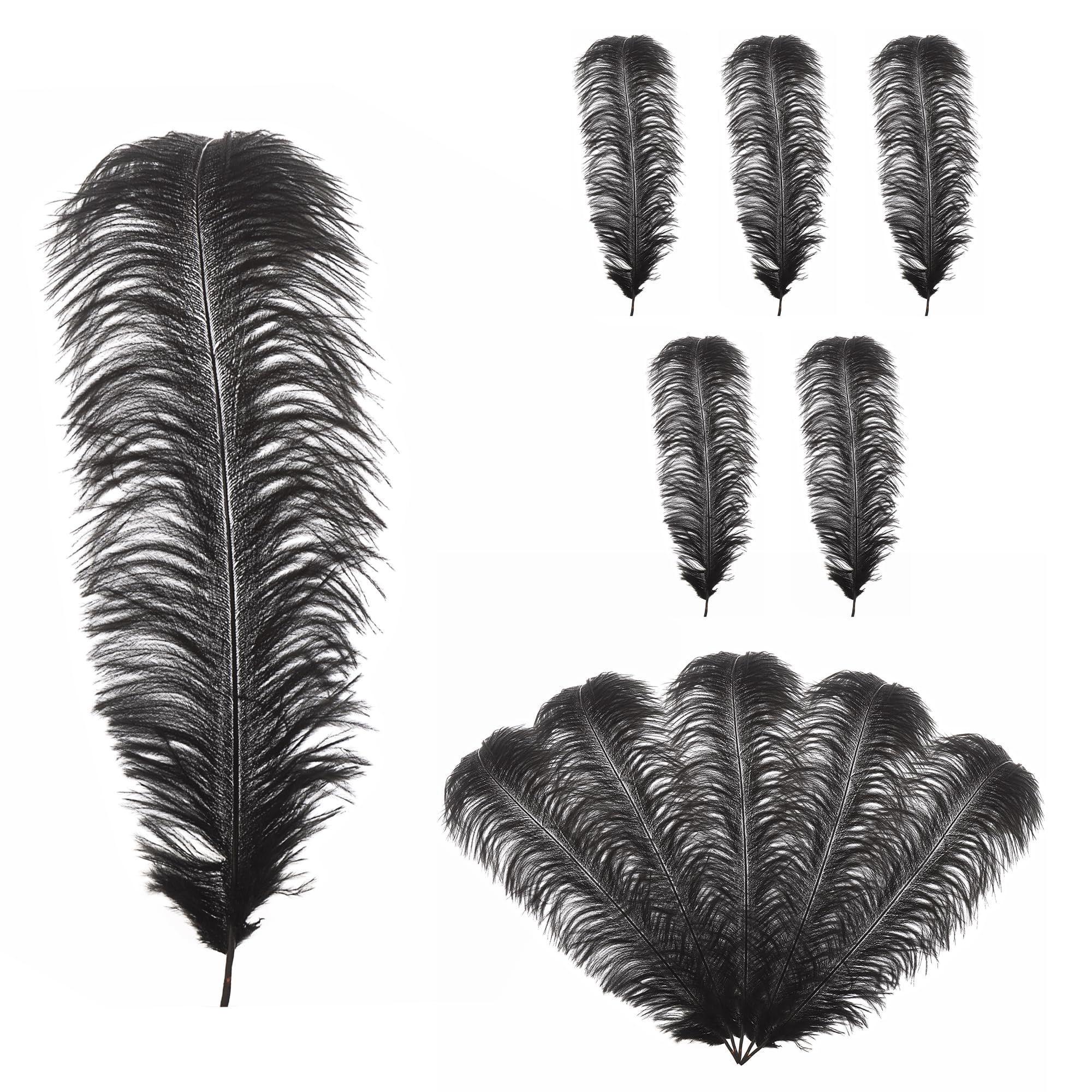 Trimming Shop 19-23inch(50-60cm) Black Ostrich Feathers Plume for Wedding Table Centrepieces Home Decoration Decorating Costumes Headdresses Showgirl Spadones, Pack of 5