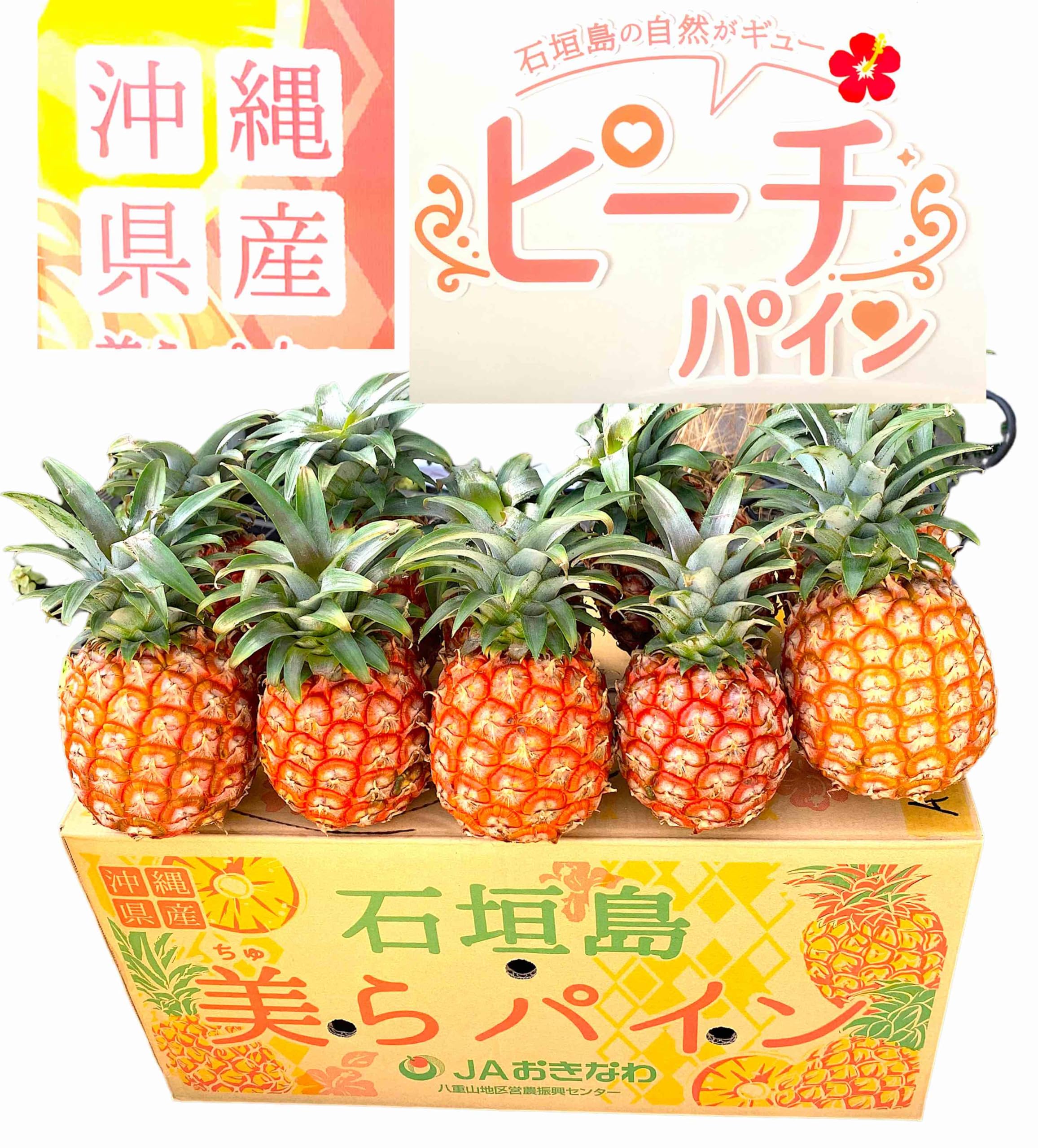 Amazon.co.jp: 沖縄県産 スナックパイン＆ピーチパイン 大玉食べ比べ 