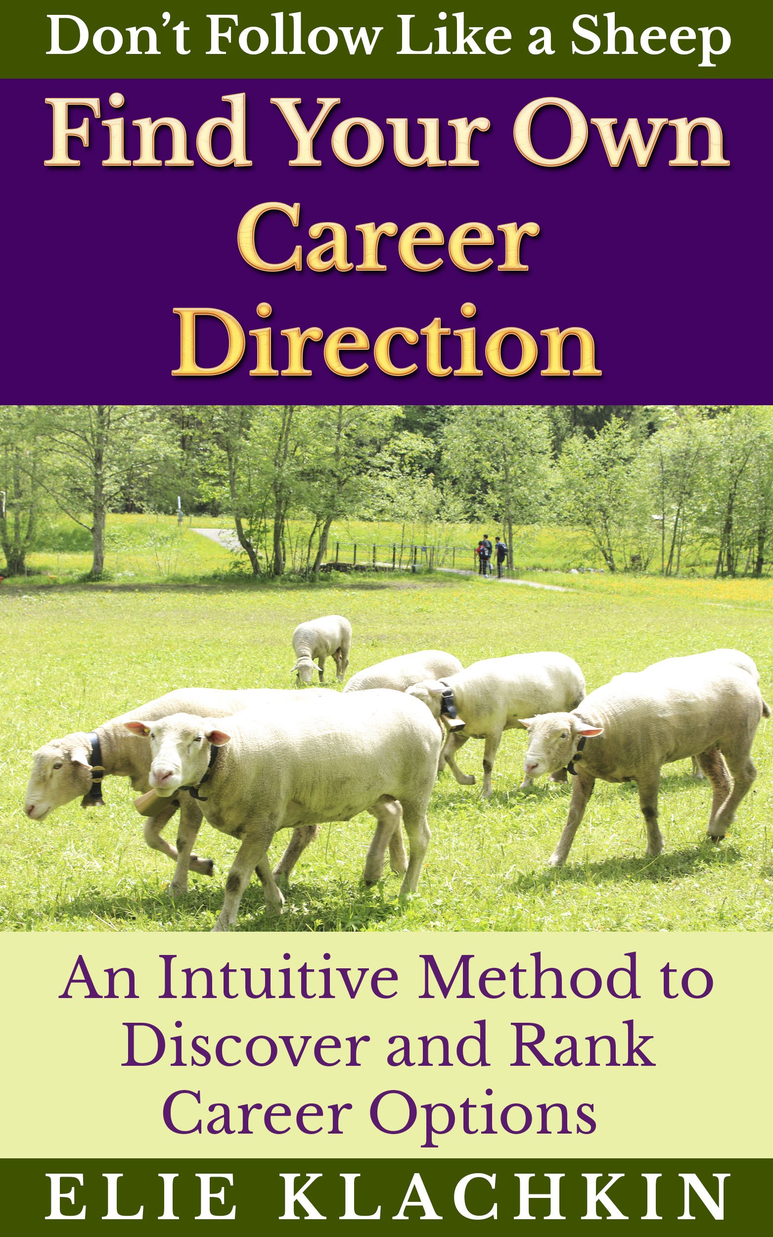 An Intuitive Method to Discover and Rank Career Options: Don't waste your life in a job you hate. Its time to find your own career direction and thrive.