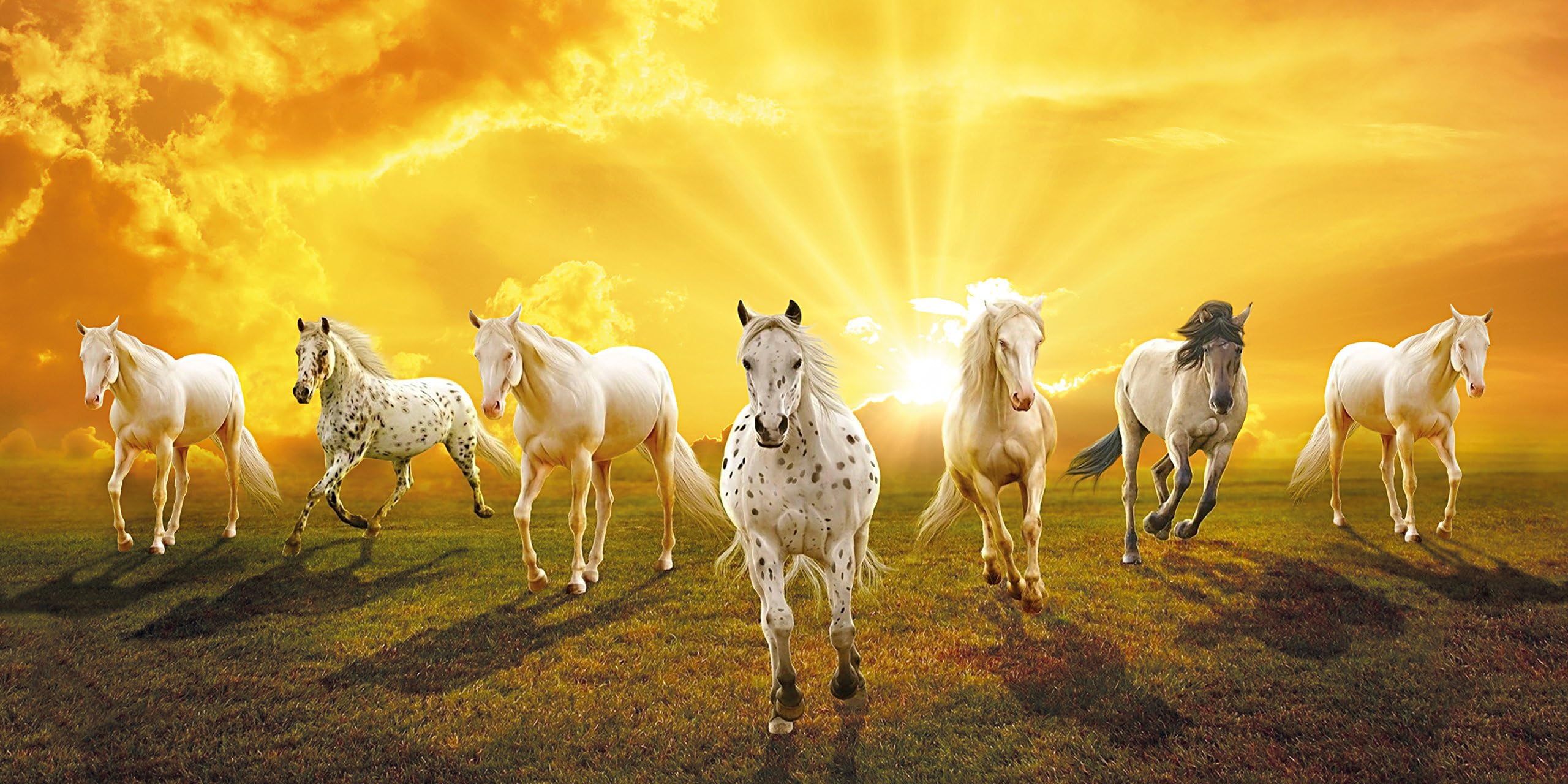 Walls and Murals Artist Work Copyright Protected Vaastu Products 7