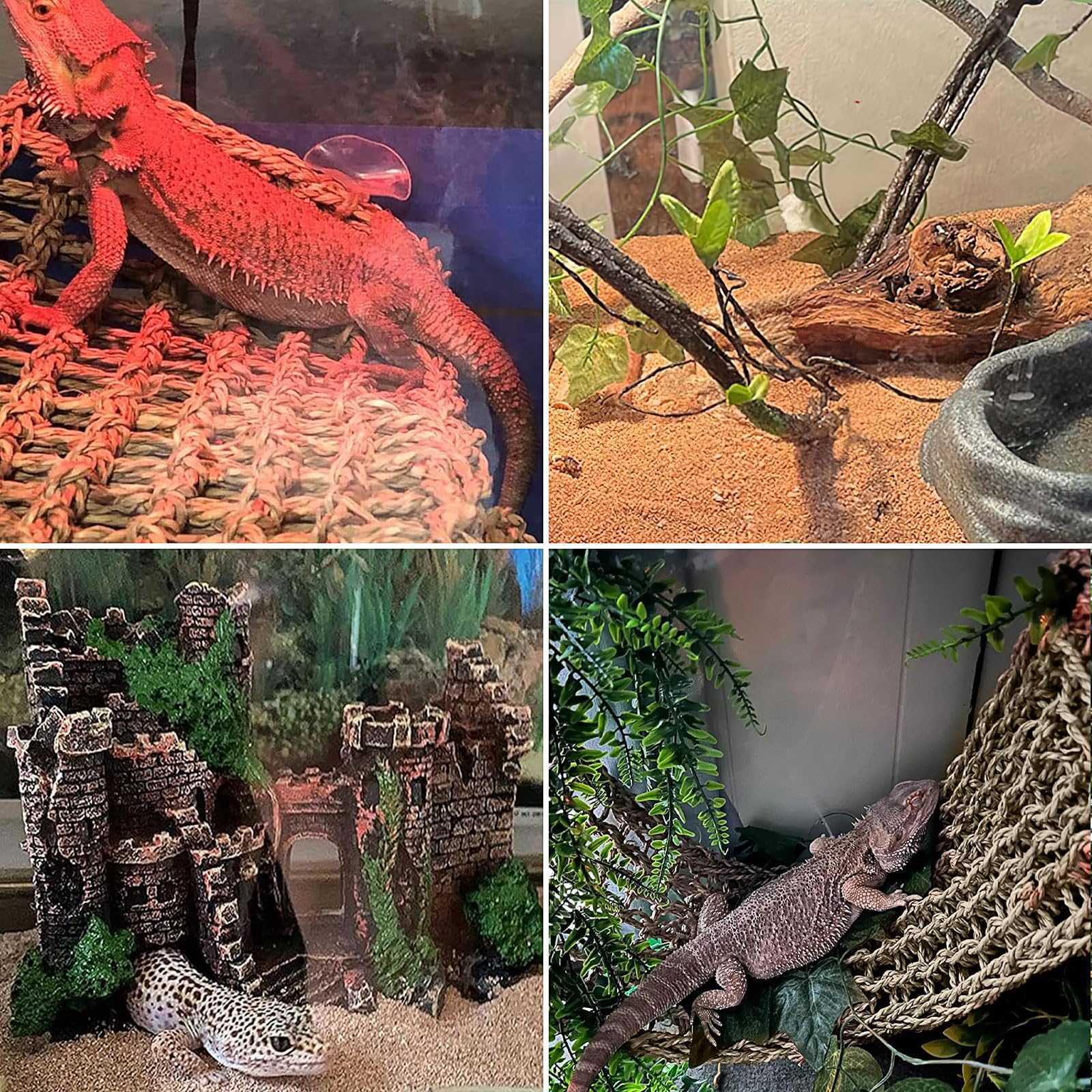 Accessori a forma di drago barbuto, confezione da 5 pezzi, decorazione per rettili, amaca, castello in resina, rampicanti e foglie della giungla, con ventose, decorazione per vivarium per gechi