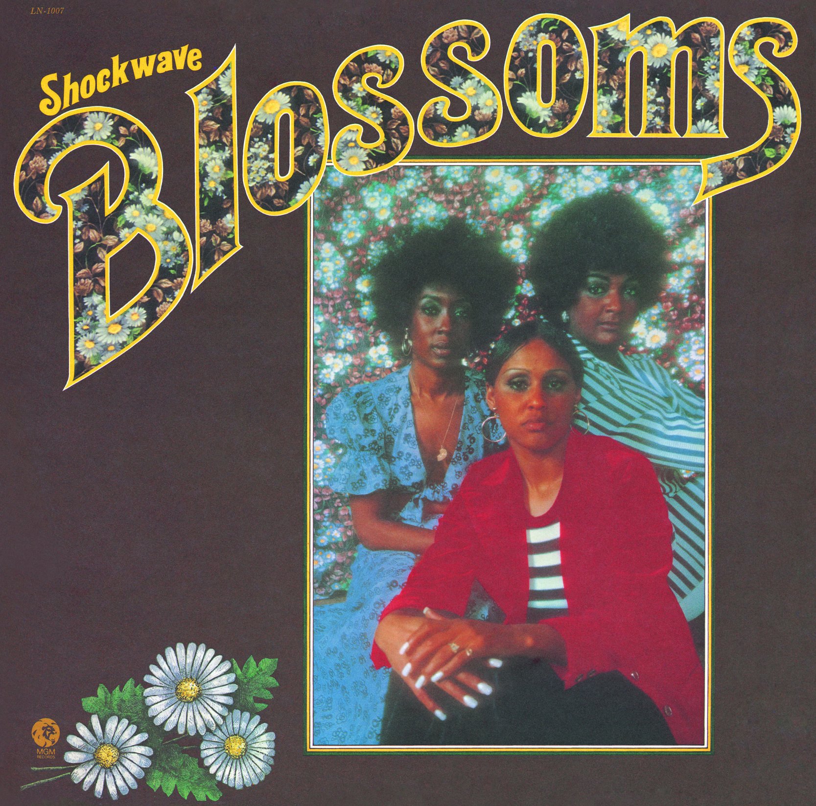 THE BLOSSOMS - Shockwave - Disque CD