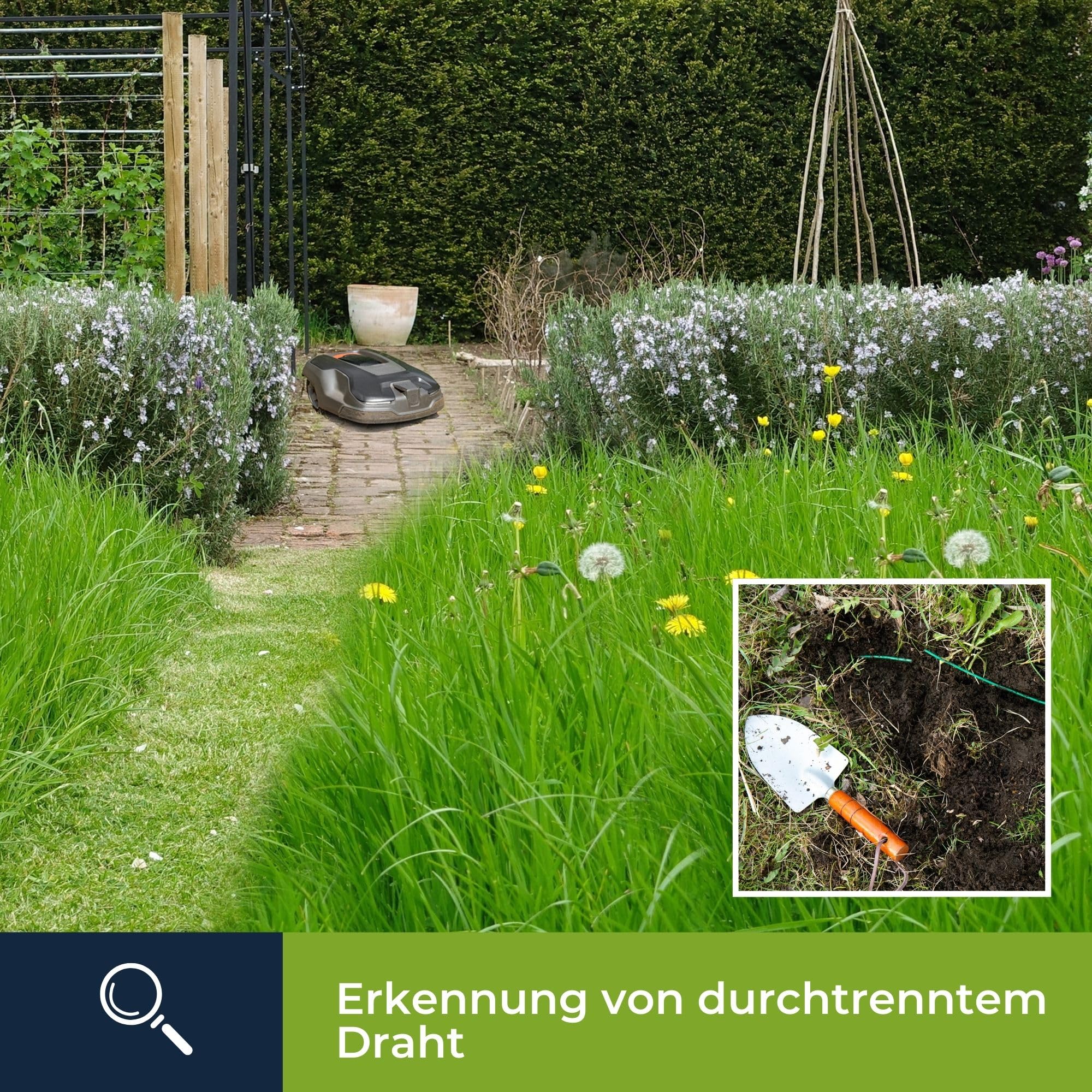 Velleman Leitungssucher und Kabeltester mit Tongenerator Perimeterdrähten für alle Roboterrasenmäher, elektrischen Verkabelungen und Telefonkabeln