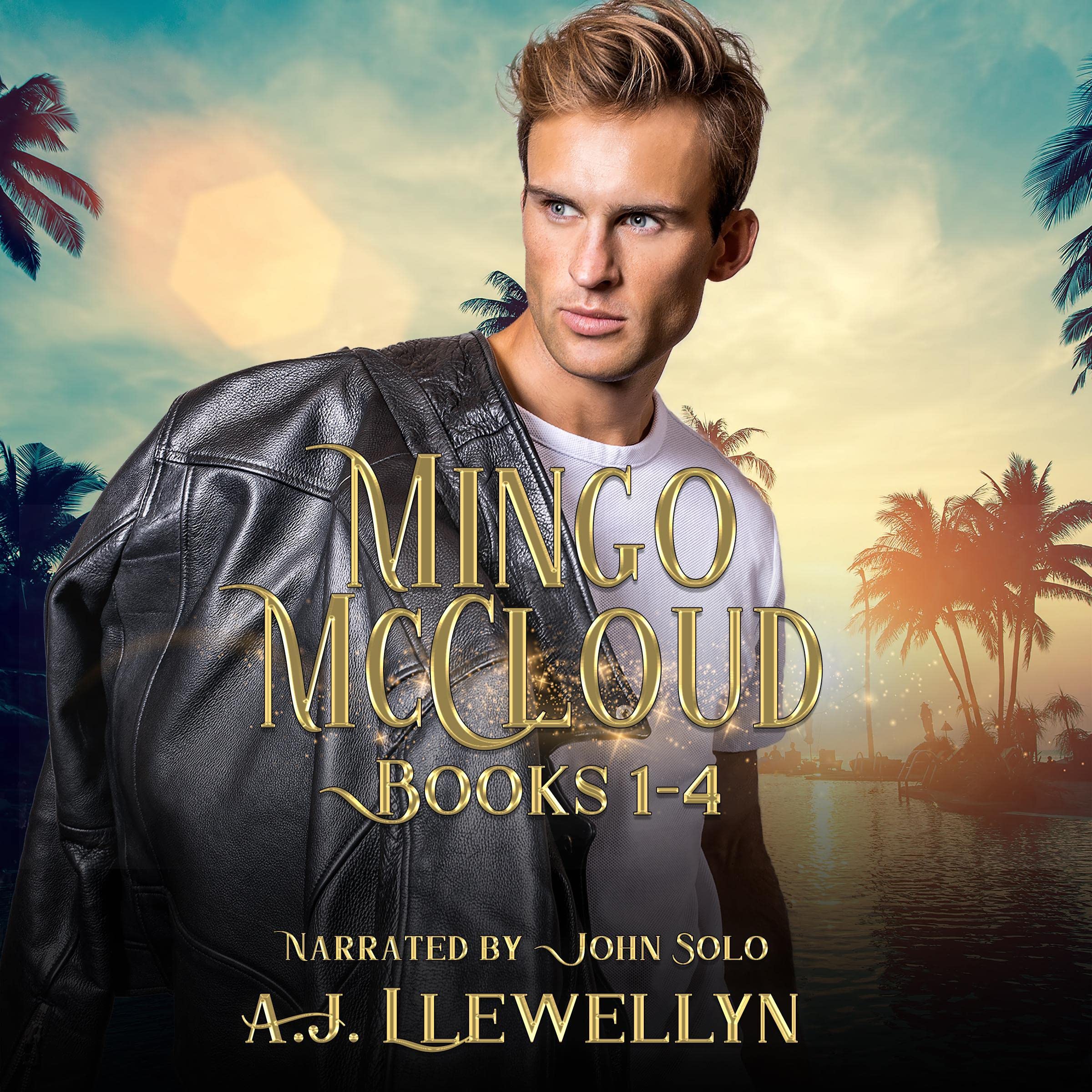 Mingo McCloud Bundle: Books 1-4