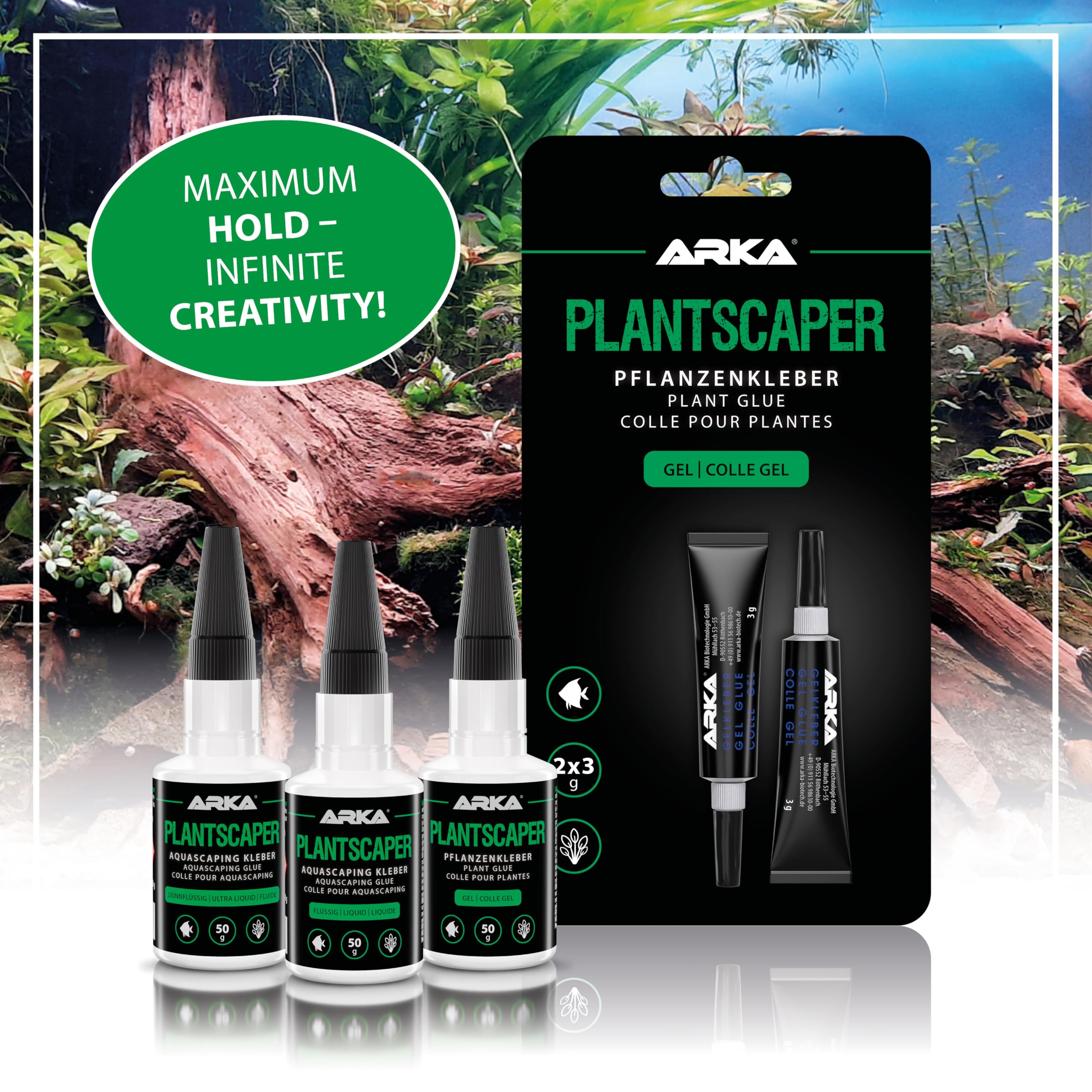 Foglie Di Badamier ARKA MySCAPE-CATAPPA - 10 Pezzi, 8-12 Cm, Per Acquari Acqua Dolce