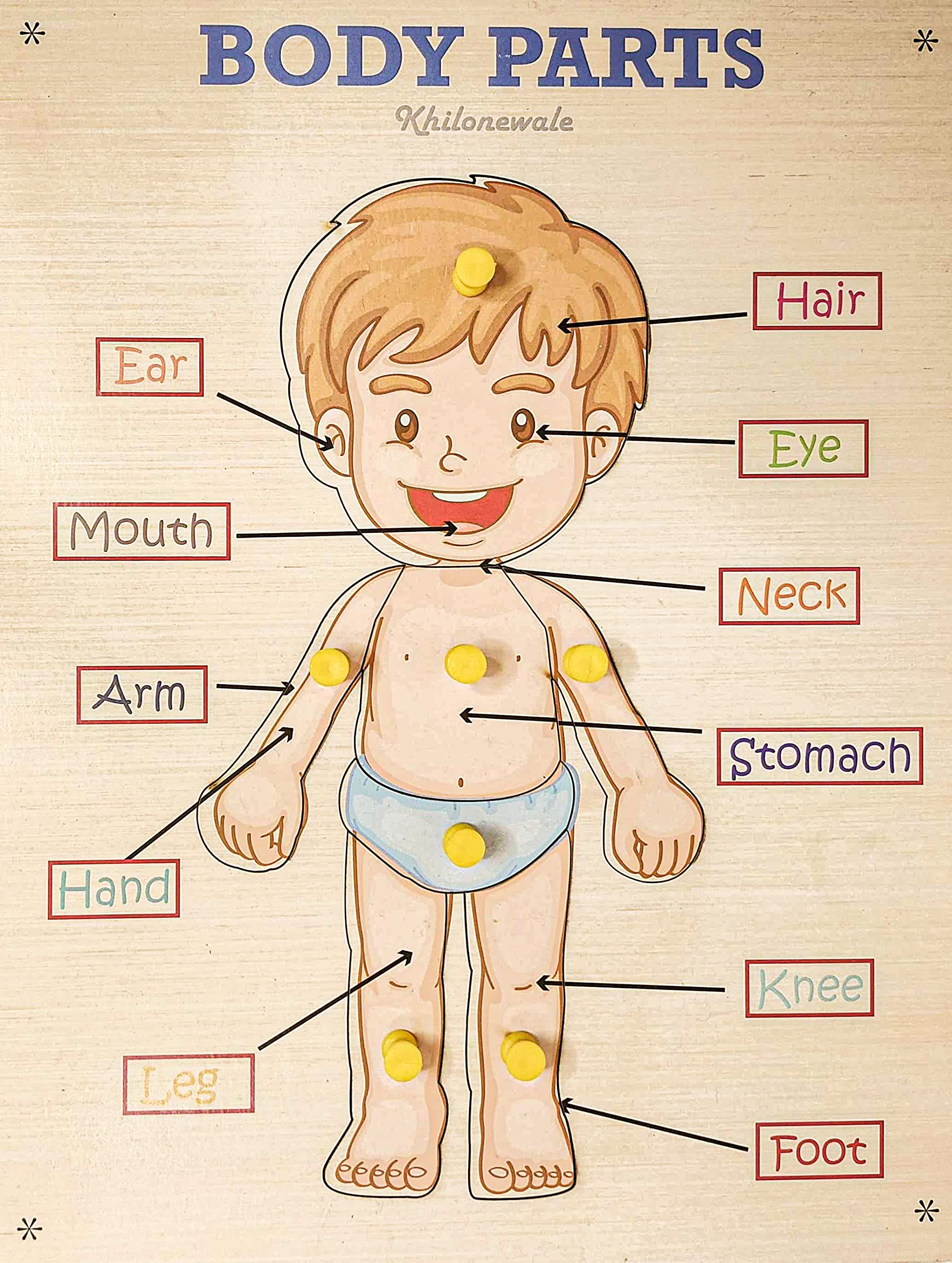 Khilonewale Wooden Parts of Body Tray with Knob Puzzle Toy for Children, Educational Board and Learning Toy for Kids - Multi Color (B094WYR6MQ) Amazon Price History, Amazon Price Tracker
