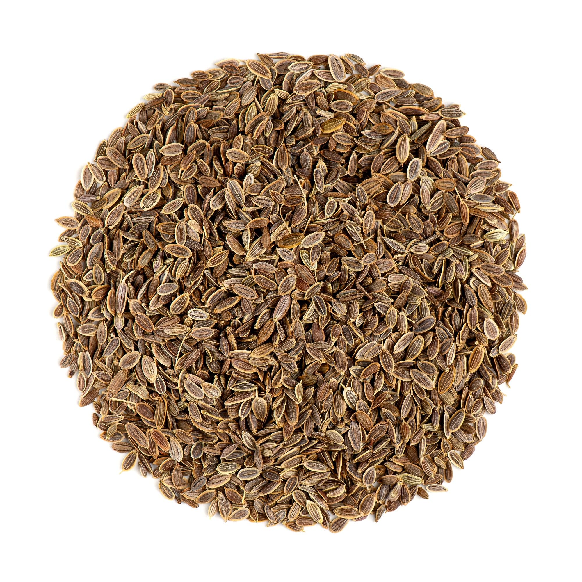 Aneth Graines Bio Qualité Culinaire - Grains D'Aneth