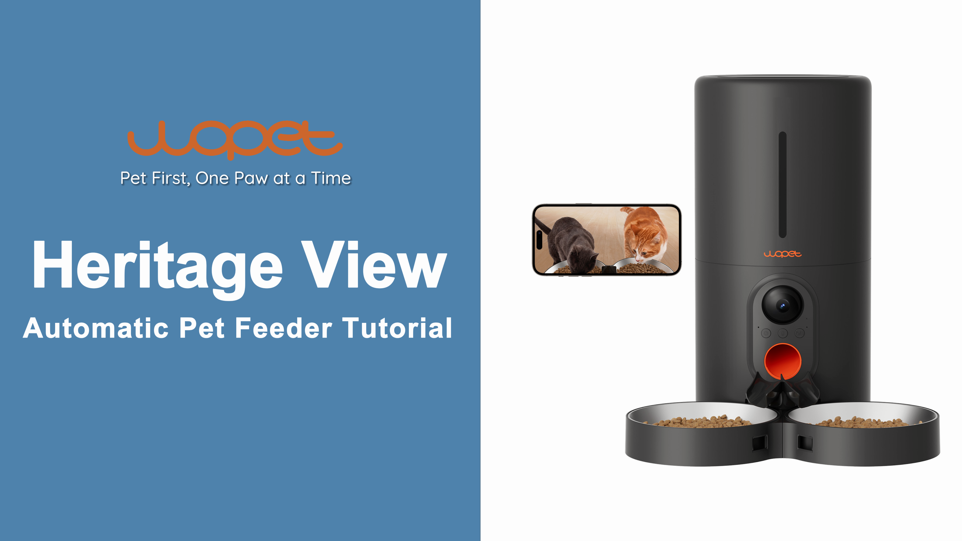 Amazon.com : WOPET Automatic Cat Feeder with Camera for Two Cats