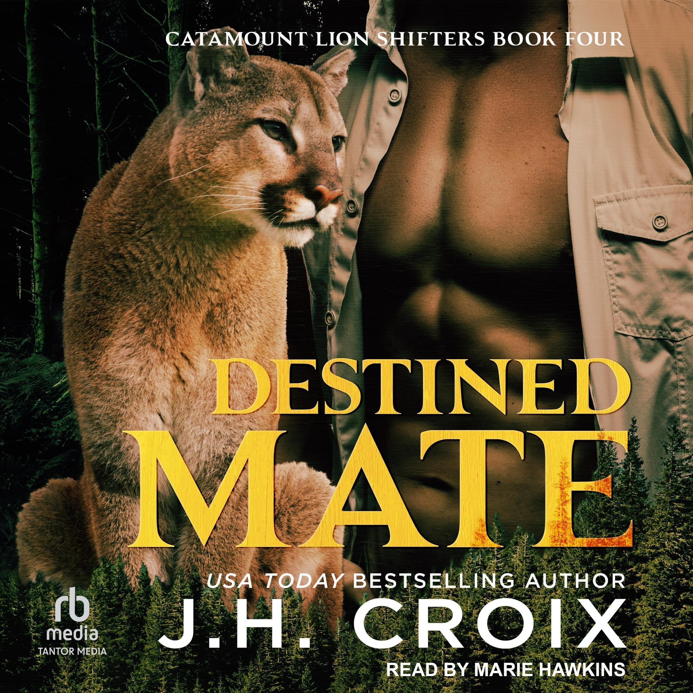 Cover art for Destined Mate