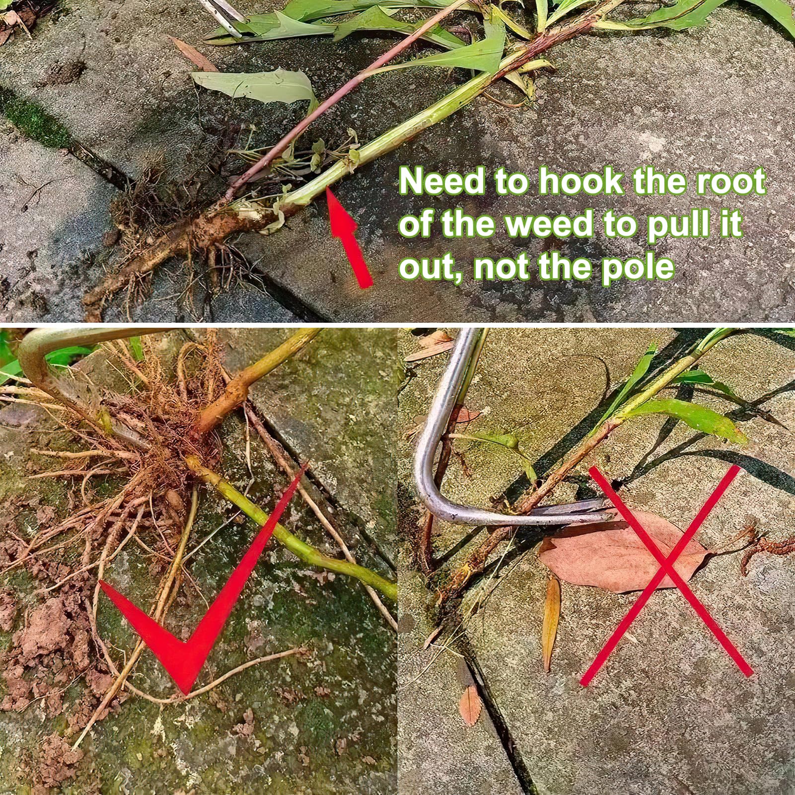 Sarchiatrice Manuale In Acciaio Inox - Con Manico Legno, 33 Cm | Per Giardinaggio, Diserbo, Lavorazione Terreno - Foto 9